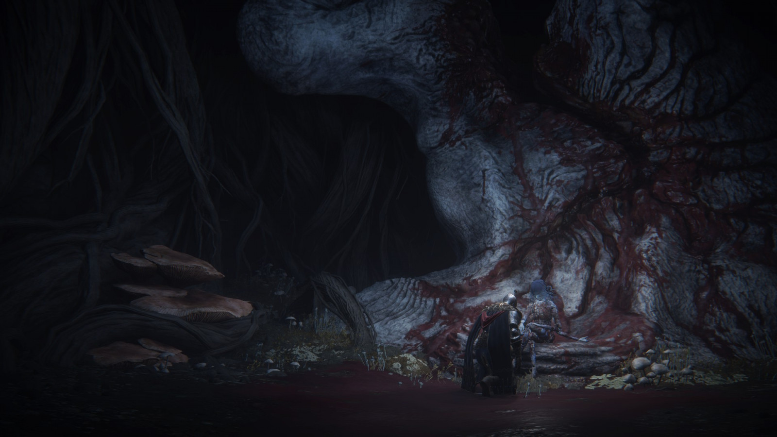 Elden Ring, ภาพหน้าจอ