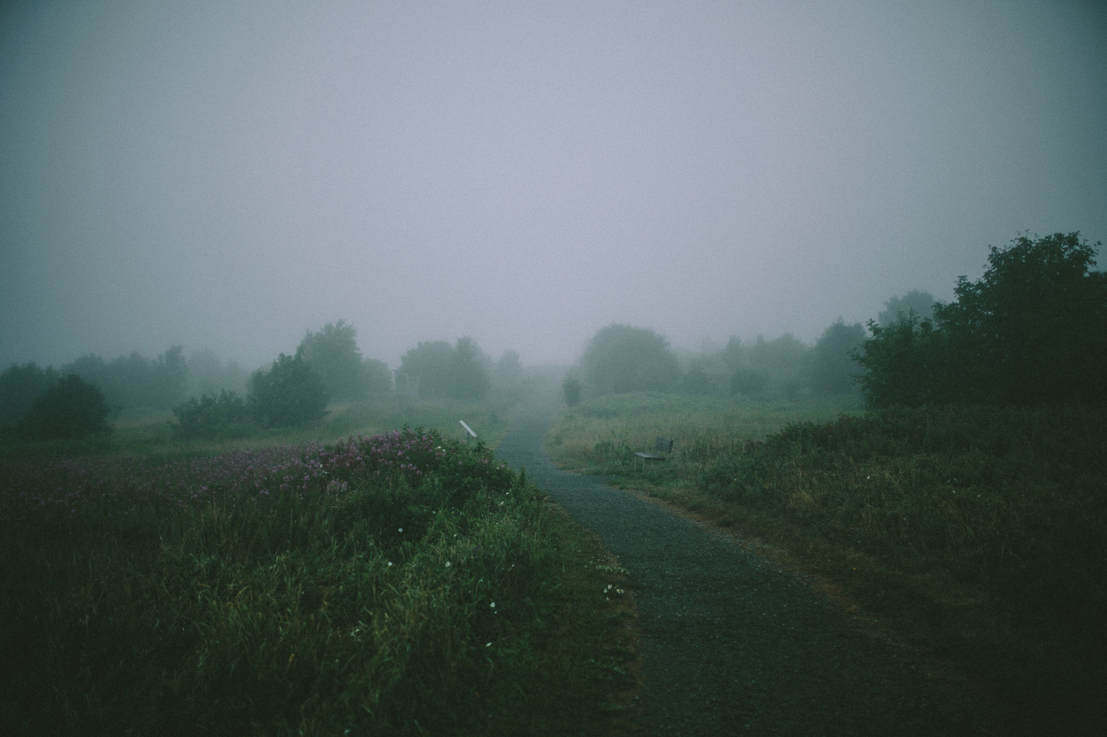 แสงแดด, แนวนอน, เนินเขา, ธรรมชาติ, หญ้า, ฟิลด์, เช้า, หมอก, ม้านั่ง, ขอบฟ้า, บรรยากาศ, เส้นทาง, หมอกควัน, เมฆ, หมอก, สภาพอากาศ, รุ่งอรุณ, เขตชนบท, ปรากฏการณ์บรรยากาศ, ฝนตกปรอยๆ