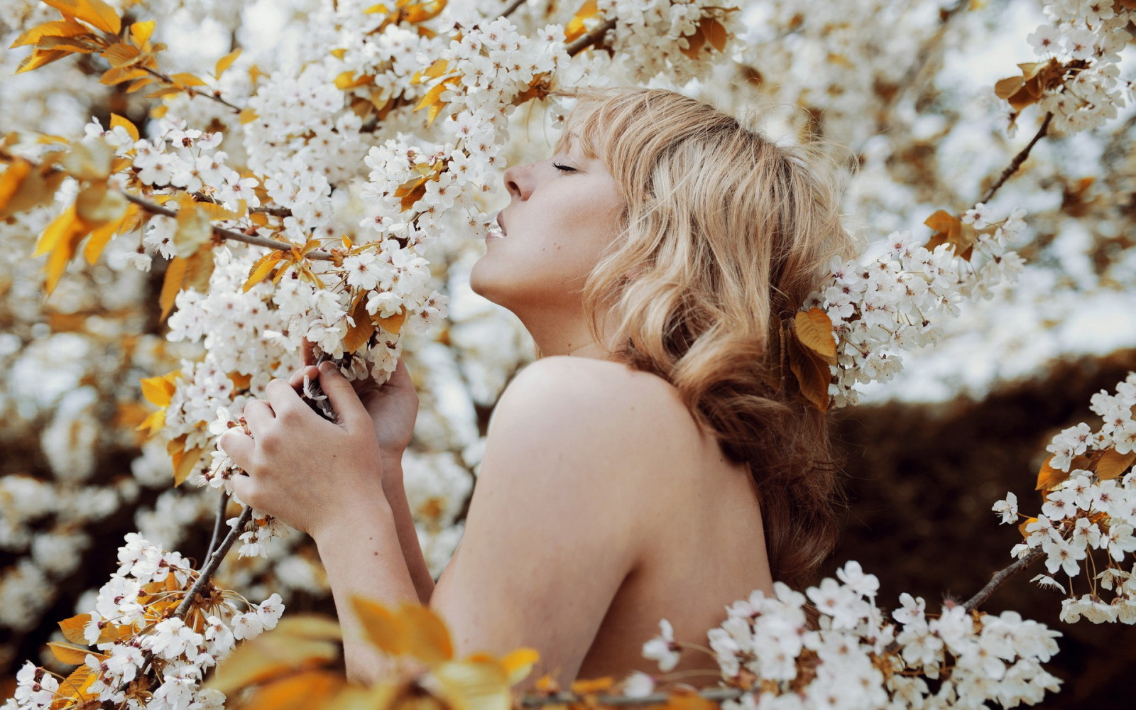 slunečnímu záření, ženy venku, ženy, model, rostliny, fotografování, větev, Třešňový květ, květ, jaro, podzim, květ, rostlina, krása, sezóna, žena, nevěsta, fotografie, okvětní lístek