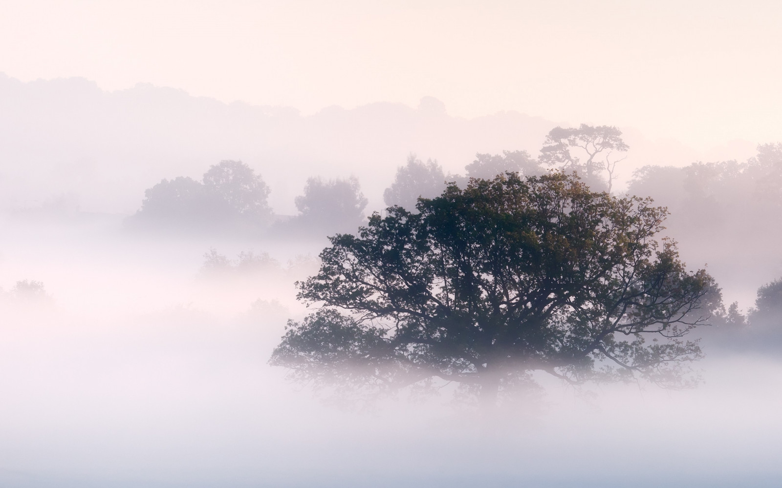 Sonnenlicht, Hügel, Natur, Himmel, Winter, Sonnenaufgang, Morgen, Nebel, Frost, Wind, Horizont, Atmosphäre, Dämmerung, Dunst, Wolke, Baum, Nebel, Berg, Wetter, Dämmerung, 2560x1600 px, Atmosphärisches Phänomen, Atmosphäre der Erde, General
