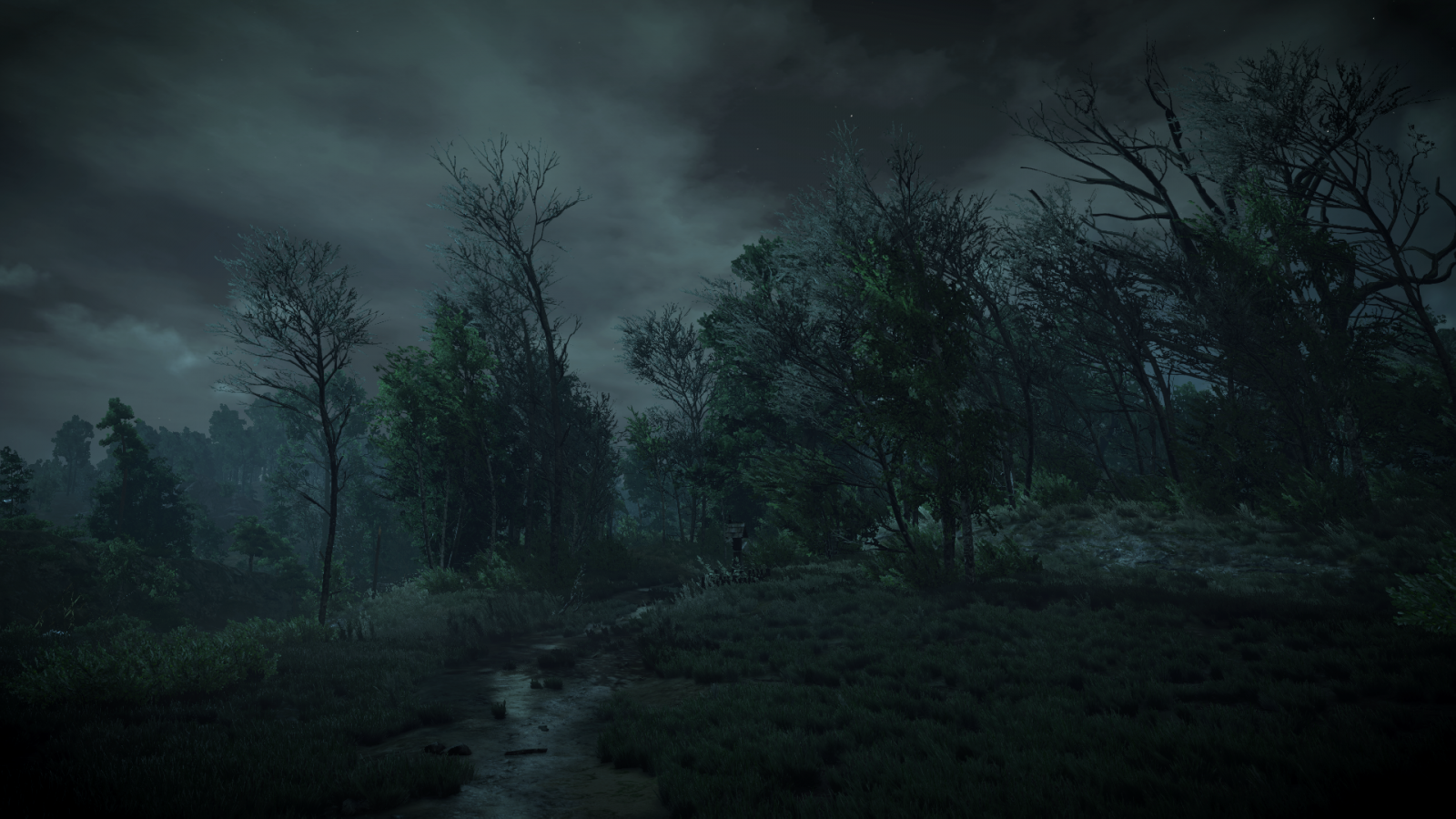 Sonnenlicht, Wald, Videospiele, Nacht-, Natur, Morgen, Nebel, Mondlicht, Der Witcher 3 Wild Hunt, Atmosphäre, Baum, Nebel, Wetter, Dämmerung, Dunkelheit, Bildschirmfoto, Lebensraum, natürlichen Umgebung, Atmosphärisches Phänomen, Computer-Tapete