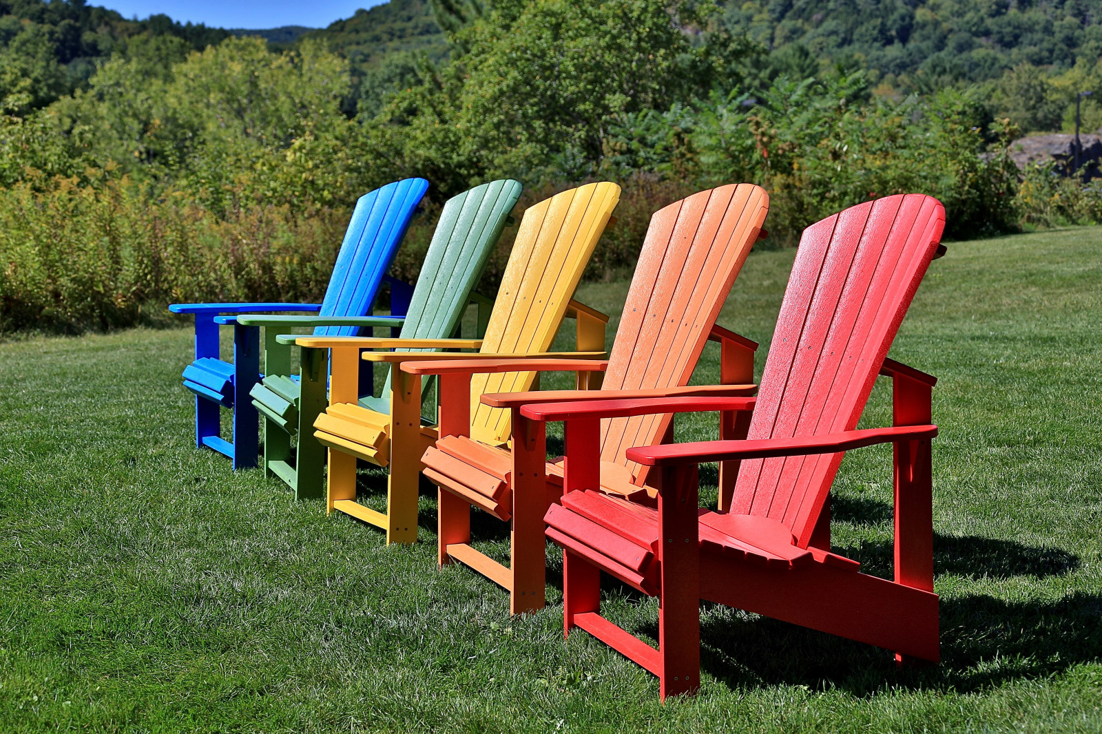 Taustakuvat ruoho, pöytä, puu, tuoli, penkki, väri, kasvi, vapaa