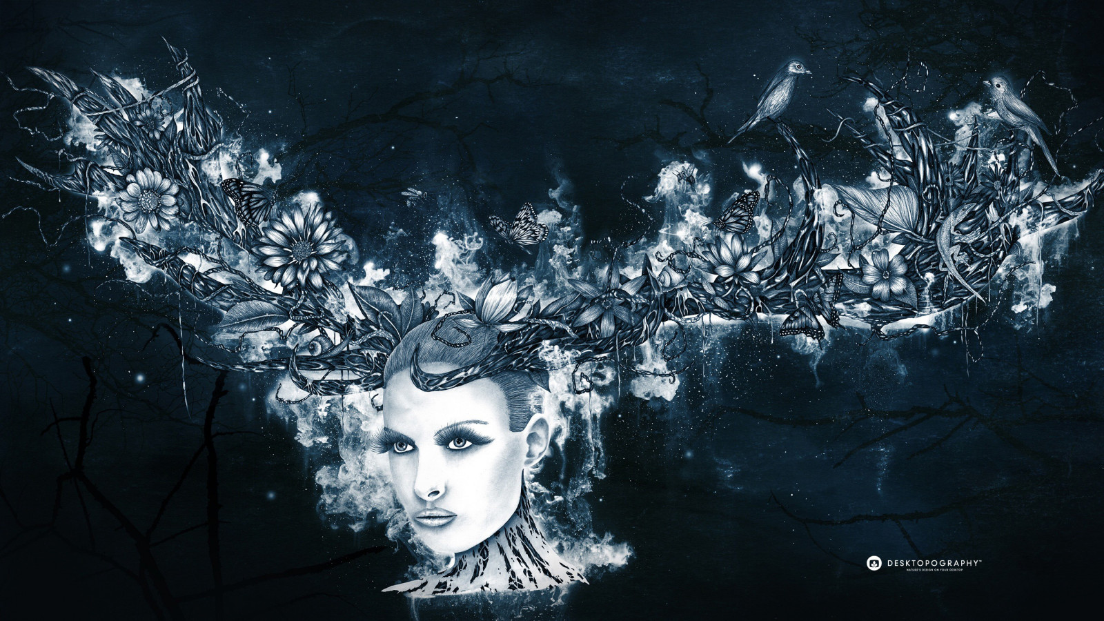 Art fantastique, nuit, Bureautique, lumière, obscurité, capture d'écran, 2560x1440 px, Papier peint de l'ordinateur, effets spéciaux