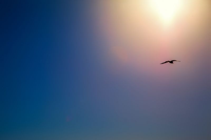 nebe, atmosféra, během dne, Atmosféra Země, horizont, uklidnit nebe, atmosféra, během dne, Atmosféra Země, horizont, uklidnit