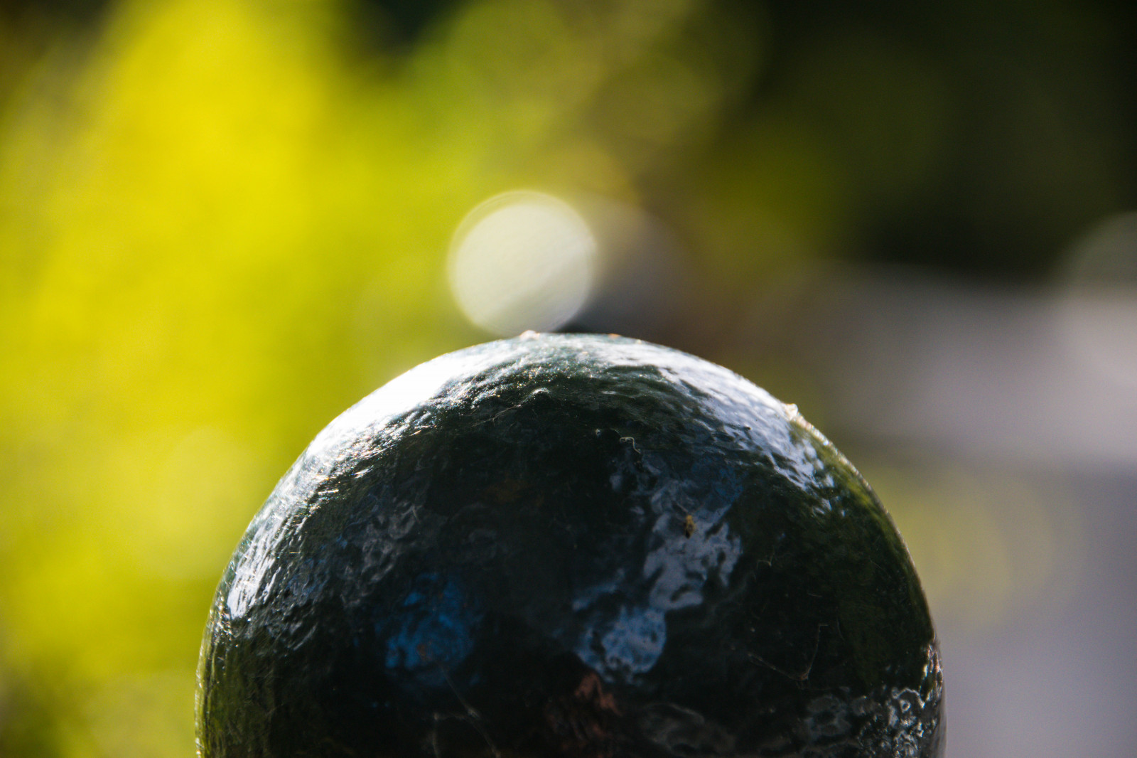 slunečnímu záření, Příroda, odraz, tráva, fotografování, koule, Země, detailní, větev, zelená, plot, bokeh, Švédsko, míč, Sverige, světlo, strom, hloubka pole, podzim, list, květ, rostlina, venkovní, dof, sk nel n, se, Malmo, h st, stlottstr dg rden, Slottsparken, zblízka, makro fotografie