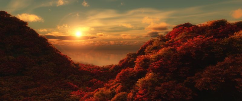 lumière du soleil, des arbres, paysage, le coucher du soleil, la nature, colline lumière du soleil, des arbres, paysage, le coucher du soleil, la nature, colline