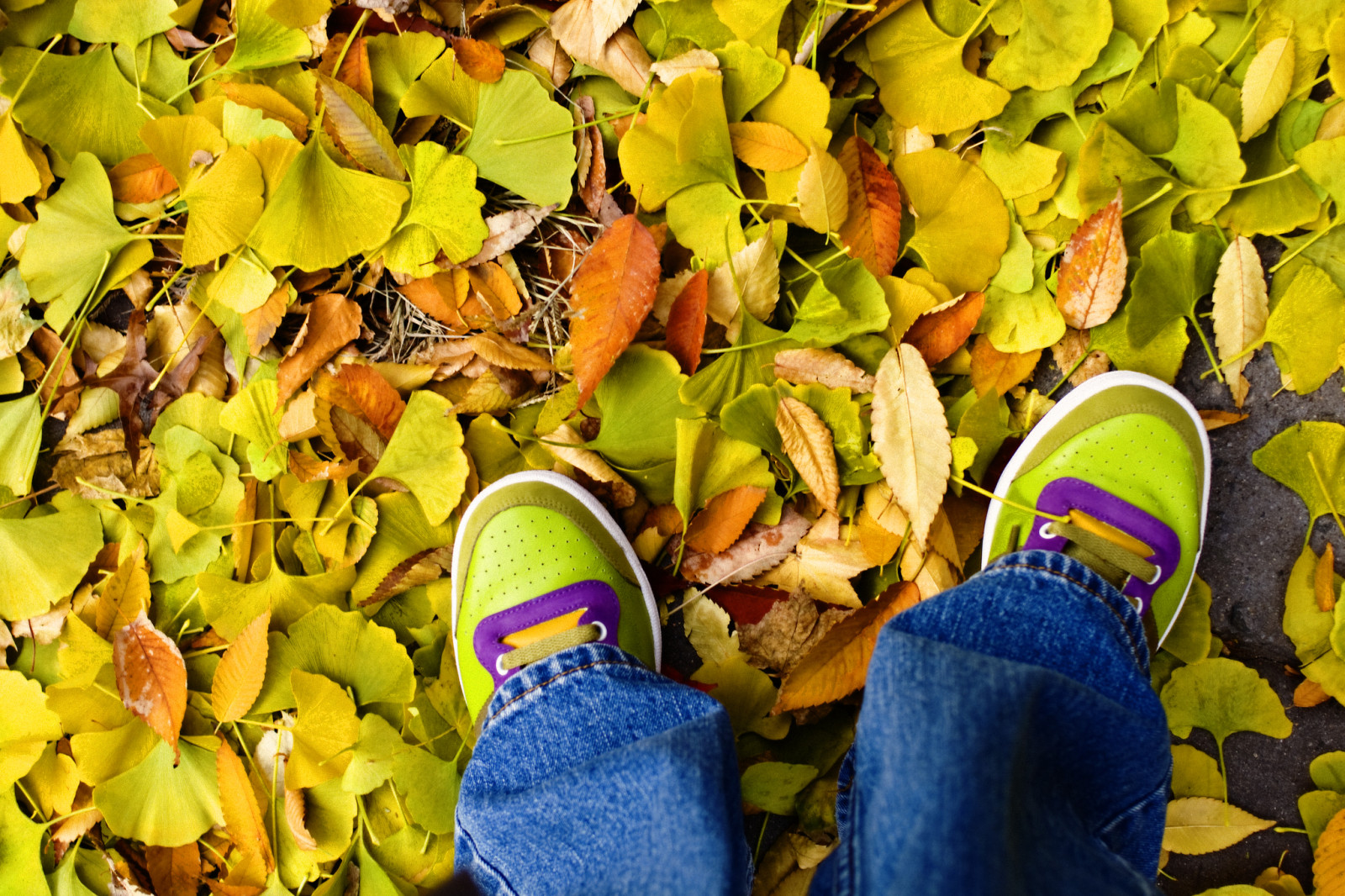 podzim, autoportrét, listy, digitální, Kánon, rebel, gingo, Drsný, prozkoumat, džíny, Denim, kopy, canonef35mmf2, adidas, Angela, gingko, Spacegirl, 365 dnů, prozkoumal, XTI, skeakers, 400D, canondigitalrebelxti, mg2150