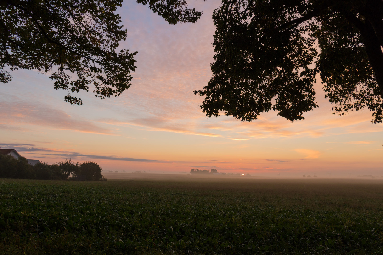 แสงแดด, แนวนอน, พระอาทิตย์ตก, เนินเขา, ธรรมชาติ, ท้องฟ้า, ฟิลด์, พระอาทิตย์ขึ้น, ตอนเย็น, เช้า, หมอก, ดวงอาทิตย์, ขอบฟ้า, พลบค่ำ, ชนบท, เมฆ, ต้นไม้, หมอก, รุ่งอรุณ, ปลูก, himmel, dimma, ชนบท, ลินคอล์น, landsbygd, soluppg ng, s dersl tt, landskap, exif model canoneos760d, ประเทศธรณีวิทยา, กล้องทำให้ Canon, geocity, กล้องรุ่น canoneos760d, geostate, ตำแหน่งทางภูมิศาสตร์, เลนส์ Exifs efs18200mmf3556is, รูรับแสง 56, exif ทำให้ canon, exif isospeed 100, ความยาวคลื่น exif 18mm, morgon, simlinge, ที่ราบ, เขตชนบท, ปรากฏการณ์บรรยากาศ, ไม้ยืนต้น