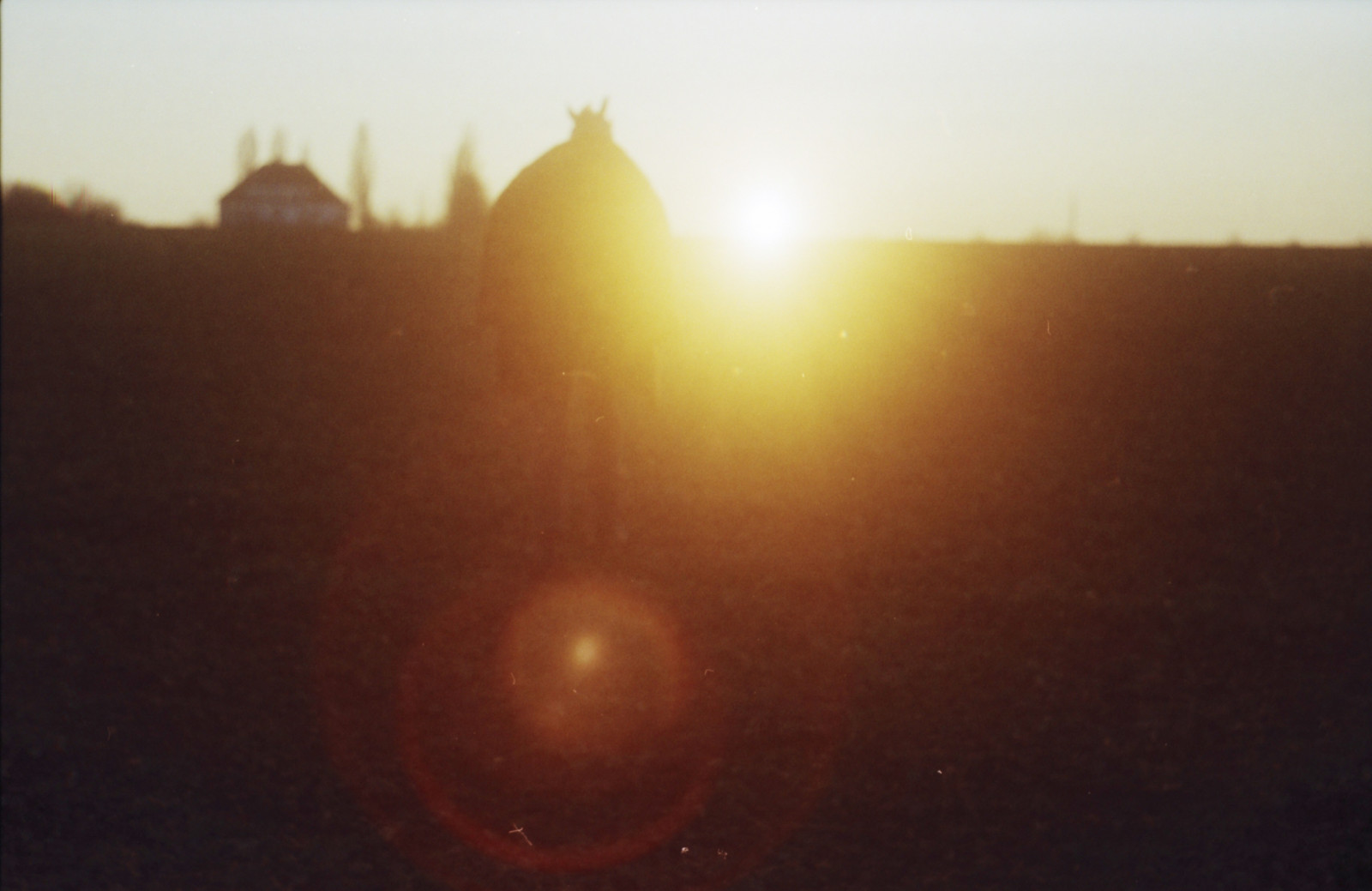 zima, nebe, pole, žlutý, analogový, horizont, lensflare, postava, pentaxsupera, Skřítek, Helios44m58mm, fujicolorc200
