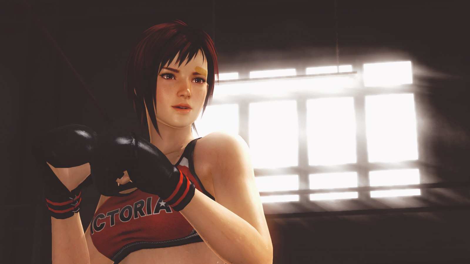 1920x1080 px, Dead or Alive 5
