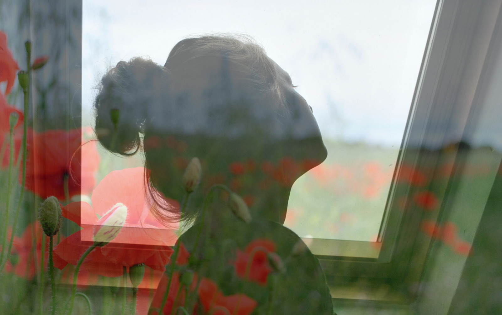 sollys, landskab, blade, mennesker, hvid, portræt, blond, blomster, natur, rød, græs, himmel, krig, fotografering, hus, grøn, alene, hår, Nikon, trist, emotion, forår, Person, valmuer, Inde, Ungdom, bolle, Fokus, lys, udsættelse, træ, blad, ny, blomst, plante, pige, naturlig, Foto, valmue, belysning, flora, sjovt, uden for, kvinde, ung, selfie, juli, kronblad, jord, forskellige, kreativ, symbol, teenager, selvportræt, nikond3000, projekt, Mig selv, outthewindow, jessward, jessicaward, jessicajnward, teknik, blomstrende plante, blomster, græs familie, stængelplante, 52 uger, updo, 52weeksproject, valmue familie, overlapning, isleofman, Verdenskrig, overliggende, 5052, zealænder, seed plant