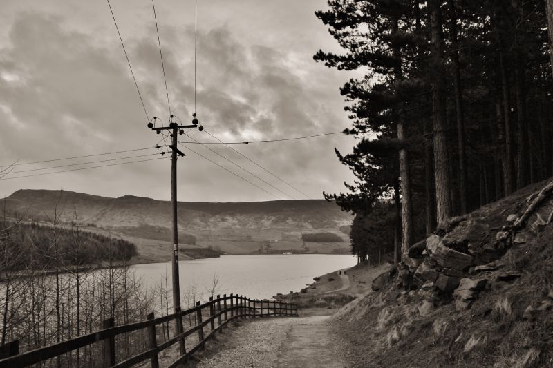 himmel, sort og hvid, Sky, afspejling, træ, vand