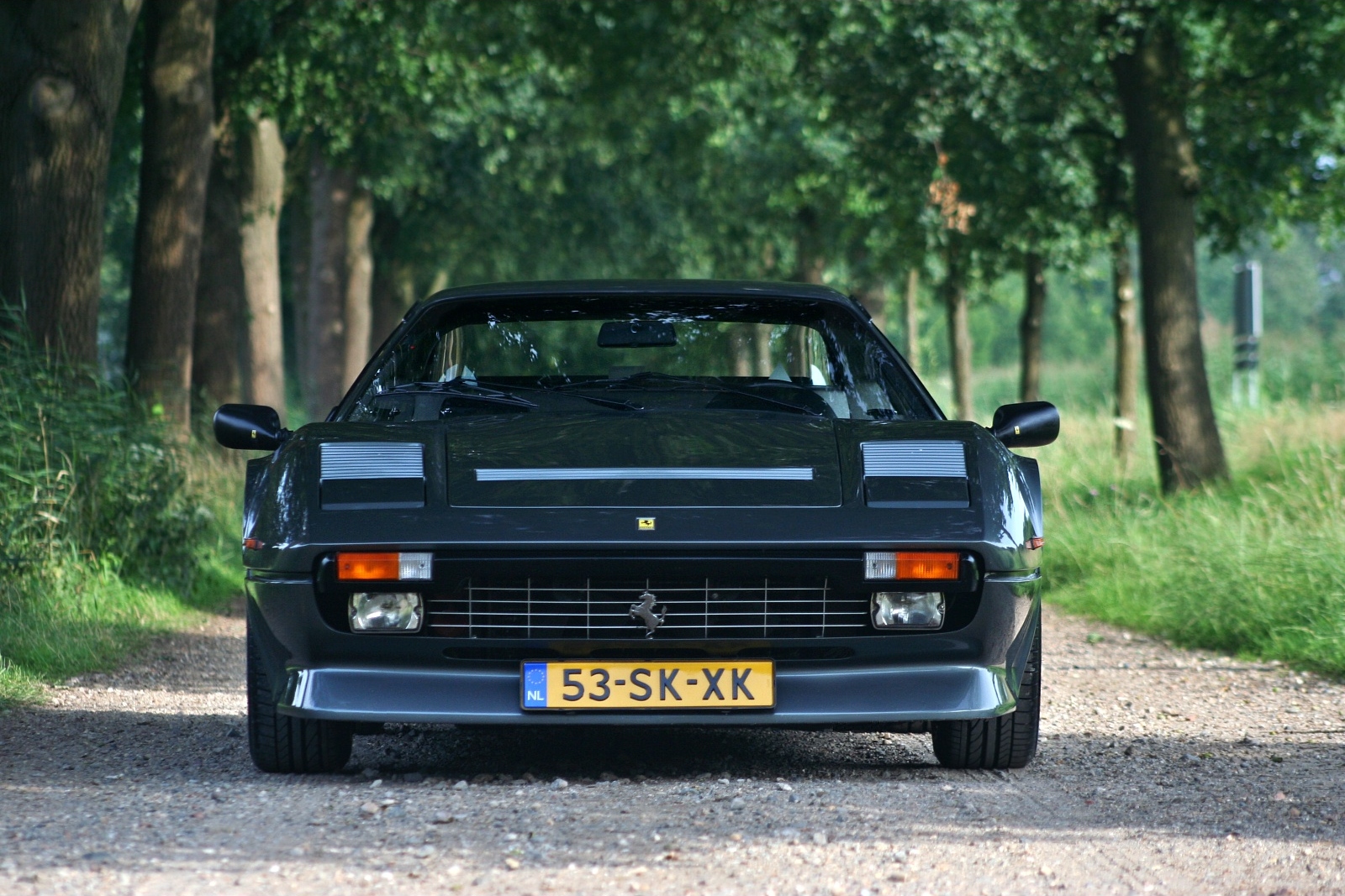 auto, veicolo, auto sportiva, Ferrari, macchina di spettacolo, 2010, Ferrari Testarossa, netcarshow, netcar, immagini di auto, auto foto, 308 Quattrovalvole GTB, supercar, veicoli terrestri, esterno automobilistico, auto da corsa, marca di automobile, veicolo di lusso, paraurti, Ferrari SpA, Ferrari 348