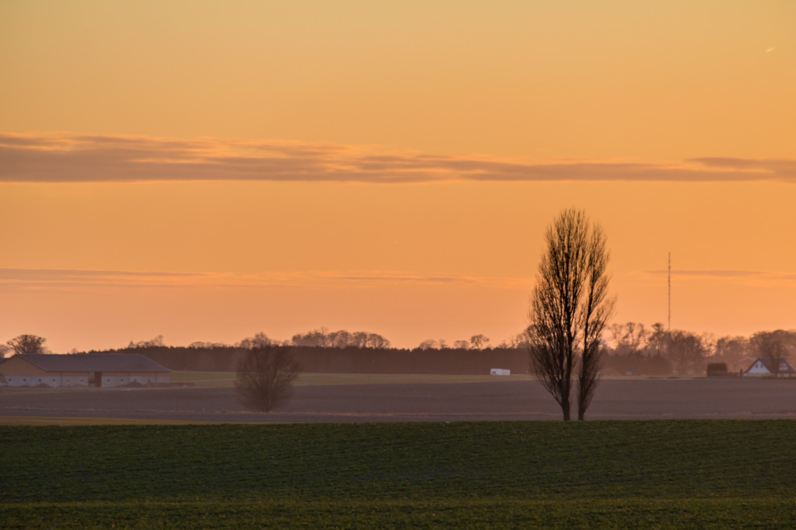 แสงแดด, แนวนอน, พระอาทิตย์ตก, เนินเขา, ธรรมชาติ, ท้องฟ้า, ฟิลด์, ภาพเงา, พระอาทิตย์ขึ้น, ตอนเย็น, เช้า, หมอก, ดวงอาทิตย์, ขอบฟ้า, พลบค่ำ, หมอกควัน, เมฆ, ต้นไม้, รุ่งอรุณ, ทุ่งหญ้า, himmel, solnedg ng, Siluett, ชนบท, ลินคอล์น, landsbygd, landskap, เกษตรกรรม, ที่ราบ, ทุ่งหญ้า, เขตชนบท, ปรากฏการณ์บรรยากาศ, สายัณห์, ไม้ยืนต้น, สะวันนา