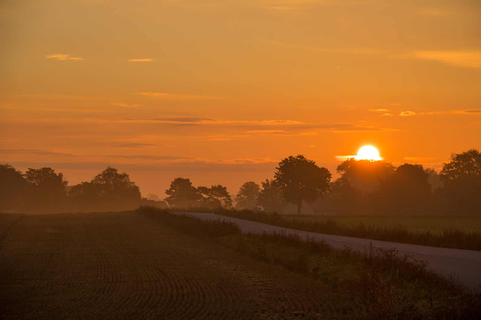 sollys, landskab, solnedgang, bakke, himmel, Mark, vej, solopgang, aften, morgen, tåge, Sol, horisont, skumring, Sol, landdistrikterne, Sky, tåge, daggry, goldenhour, himmel, DIMMA, landskabet, Moln, landsbygd, soluppg ng, landskap, exif model canoneos760d, geocountry, kamera gør kanon, geocity, kameramodel canoneos760d, geostate, geolocation, exif linse efs18200mmf3556is, exif gøre kanon, exif isospeed 100, exif åbning 71, exif focallength 100mm, Morgon, gyllenetimmen, VAG, Söderslätt, Gislöv, almindeligt, prærie, landdistrikt, atmosfærisk fænomen, efterglød