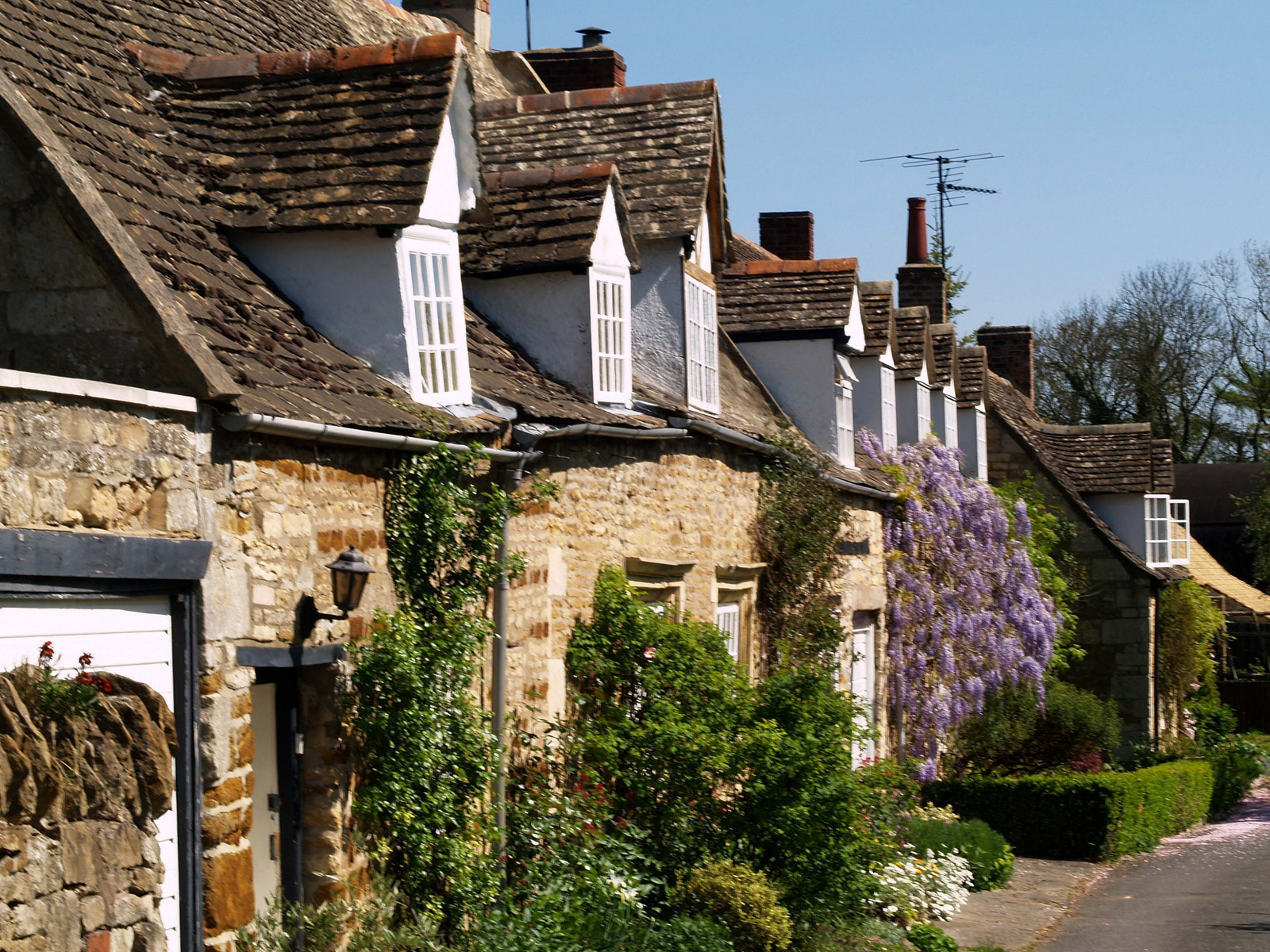 Wallpaper : England, bravo, explore, rutland, thumbsup, wisteria ...