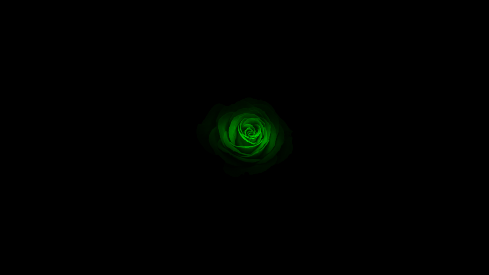 Wallpaper green, rose, emerald 1920x1080 Aleia 1730193 HD