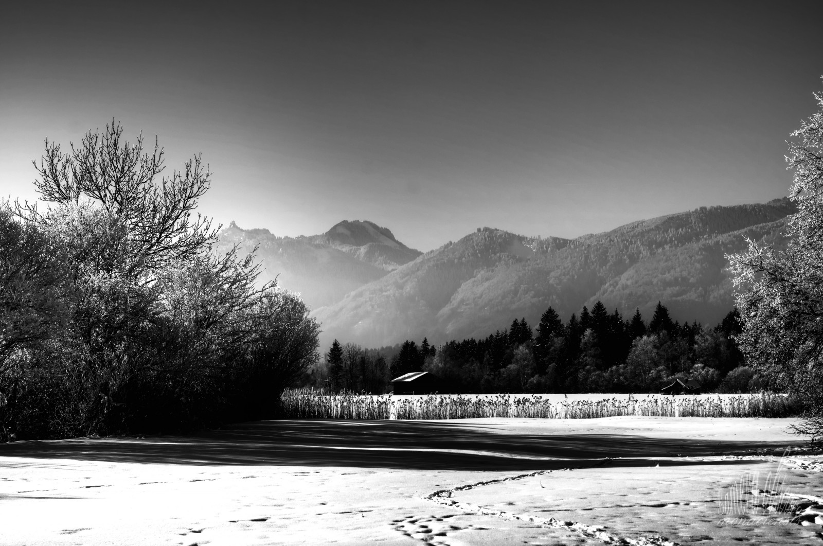 slunečnímu záření, stromy, krajina, bílý, Černá, hory, černobílý, voda, Příroda, odraz, nebe, sníh, zima, fotografování, Fotoaparát, ráno, mlha, mráz, horizont, Sony, atmosféra, Evropa, Křoví, objektiv, jinovatka, zmrazení, Europa, UMĚNÍ, Černý a bílý, mrak, strom, Tamron, cestovat, Landschaft, hora, rostlina, natur, keř, kamera, alfa, foto, Schnee, vogel, baum, cesta, Berge, schwarz, Weis, kunst, Reise, b UME, sLR, schwarzweis, reisen, weiss, Dieter, slt, obscura, Wulf, Vogl, wulfdietervogl, wulfdieter, cameraobscuramonaciensis, monaciensis, PhotoArt, Nebel, sonyalpha, počítač tapeta, Černý a bílý, monochromatické fotografování, dřevina, reif, sonyalpha77, monacensis, myart, meinekunst, fotokunst, meinefotokunst, myphotoart, spiegelreflex, reflexcamera, verarbeitet, bearbeitet, sonyalphailca77ii, 77m2, Ilca, tamron1750, tamronlens, spaf1750mmf28xrdiiildaspherical, b Spr, geb sch, stock photography