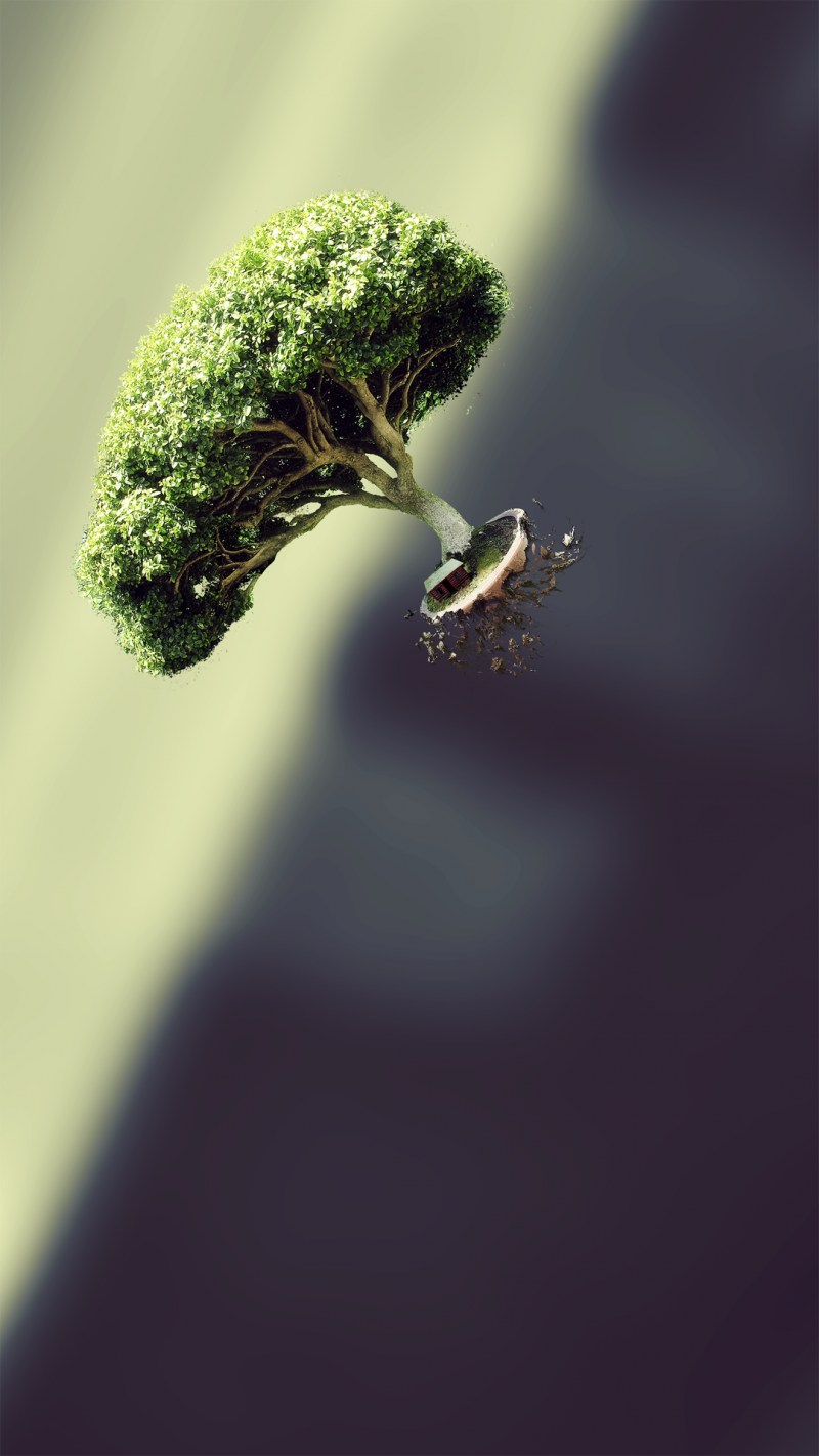 bomen, natuur, fotografie, tak, groen, stuifmeel bomen, natuur, fotografie, tak, groen, stuifmeel