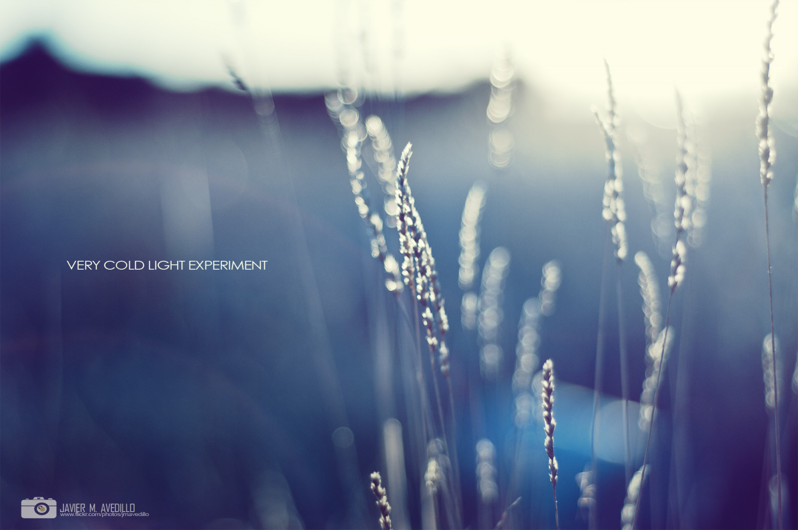 zima, světlo, Studený, luz, 50mm, Asahi, pentax, campo, invierno, Javier, smc, Martinez, K7, F17, avedillo, jmavedillo