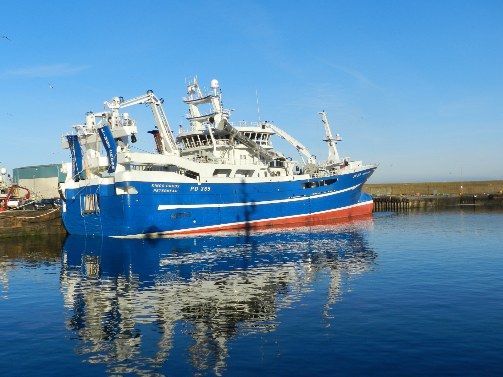 배경 화면 왕, 십자가, 피터 헤드, 365, 용기, 푸른, 반사, 일월, fraserburgh, aberdeenhire