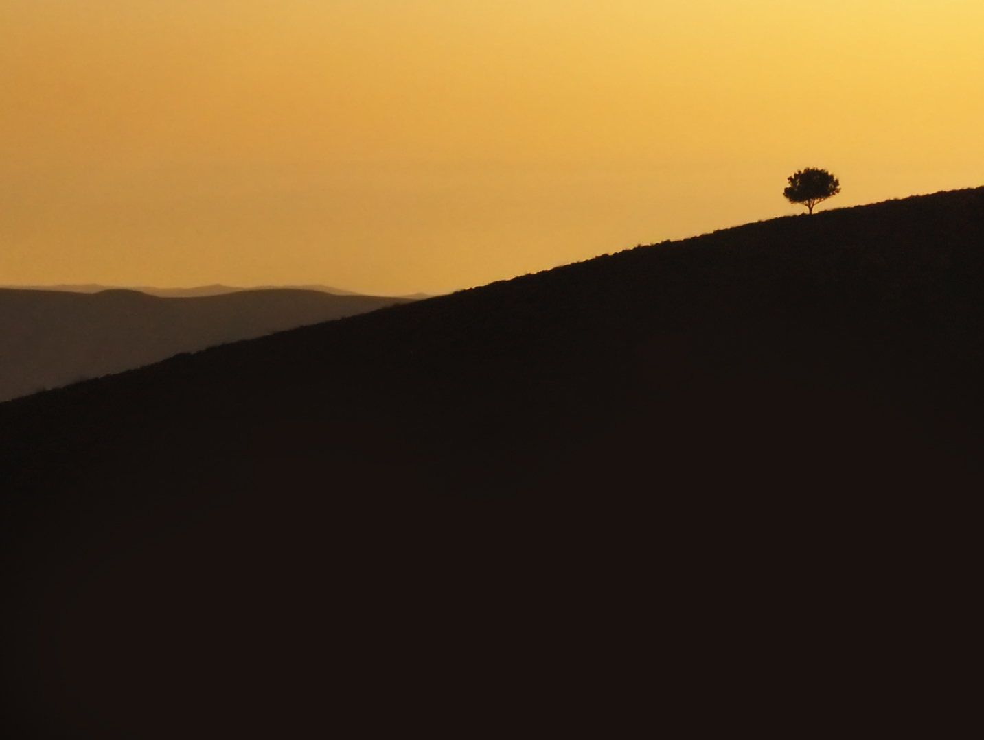 krajina, temný, západ slunce, kopec, písek, nebe, svítání, ráno, poušť, oranžový, horizont, Nikon, soumrak, 2010, Sahara, Al, strom, NIKKOR, svítání, prostý, 1855, D5000, místo výskytu, přírodní prostředí, landform, geografický rys, Liparské landform, ERG, Jordán, Khalid, sahaly, lonley