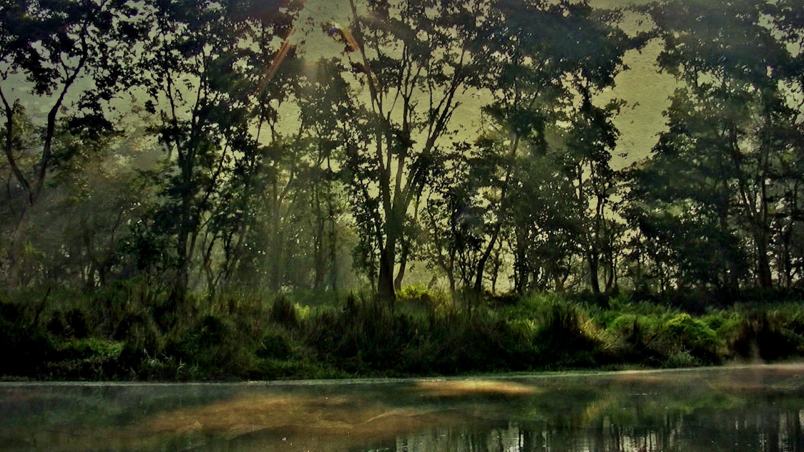 acqua, riflessione, natura, vegetazione, ecosistema, bayou, riserva naturale, Banca, albero, zone umide, bosco ripariale, palude, riparian zone, bosco, fiume, foresta, foglia, giungla, luce del sole, vecchia foresta di crescita, mattina, stagno, golena, bioma, paesaggio, erba, alveo, ramo, foresta pluviale, palude, foresta temperata, cielo, boschetto, natura, palude, tropical and subtropical coniferous forests, lago, famiglia di erba, sfondo del computer, sera