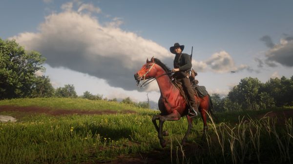 cloud,sky,horse,plant,People in nature,working animal