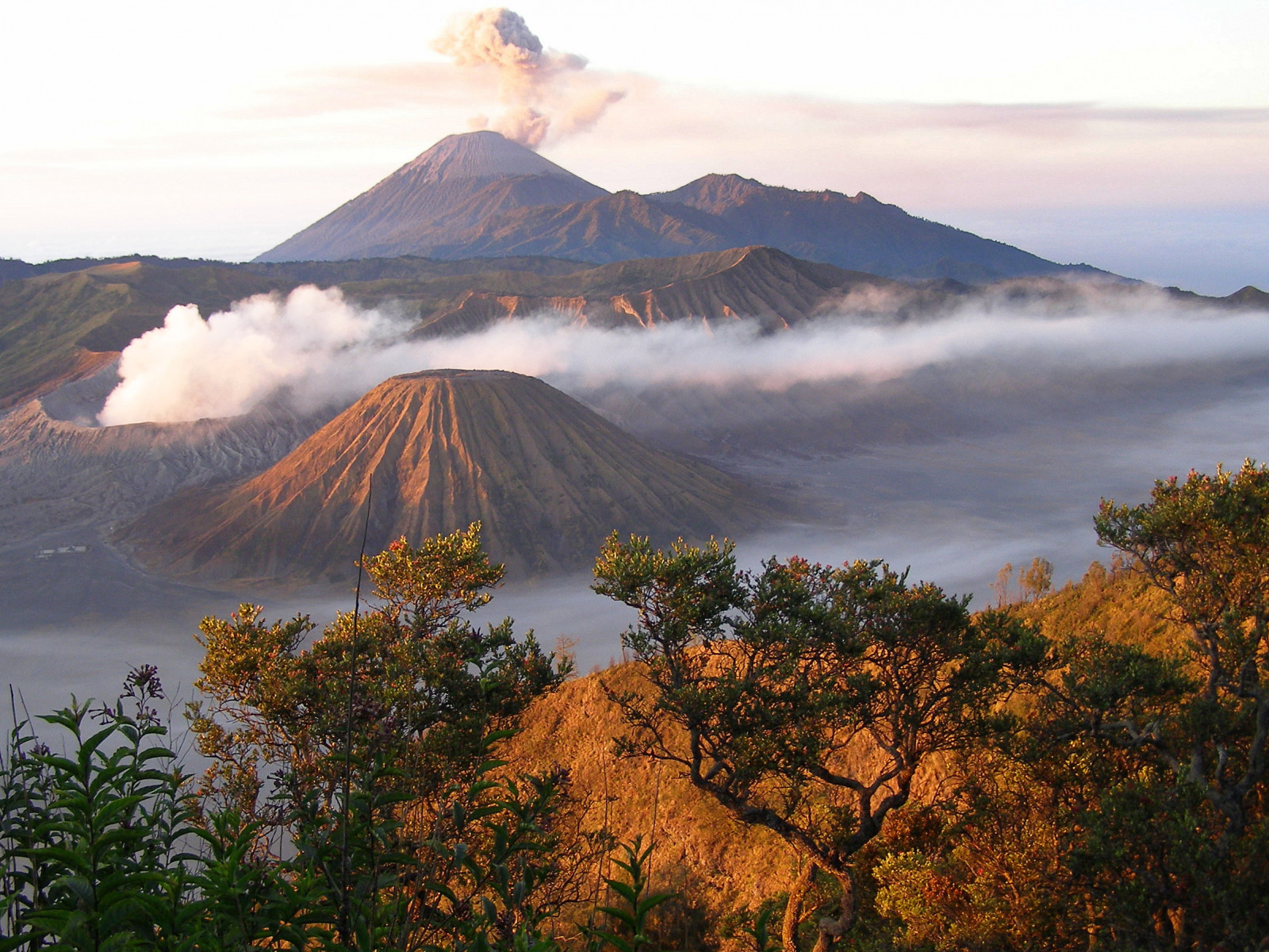stromy, krajina, hory, kopec, Příroda, nebe, kouř, svítání, večer, ráno, sopka, národní park, divočina, Jáva, mount scenérie, Indonésie, Vulkán, mrak, strom, mlha, cestovat, hora, svítání, ruby15, ruby20, ngc, vysočina, turistická atrakce, brom, stanice hill, klesl, sopečný landform, stratovulkán, štít sopky, sráz, Vulkáni, extinct volcano