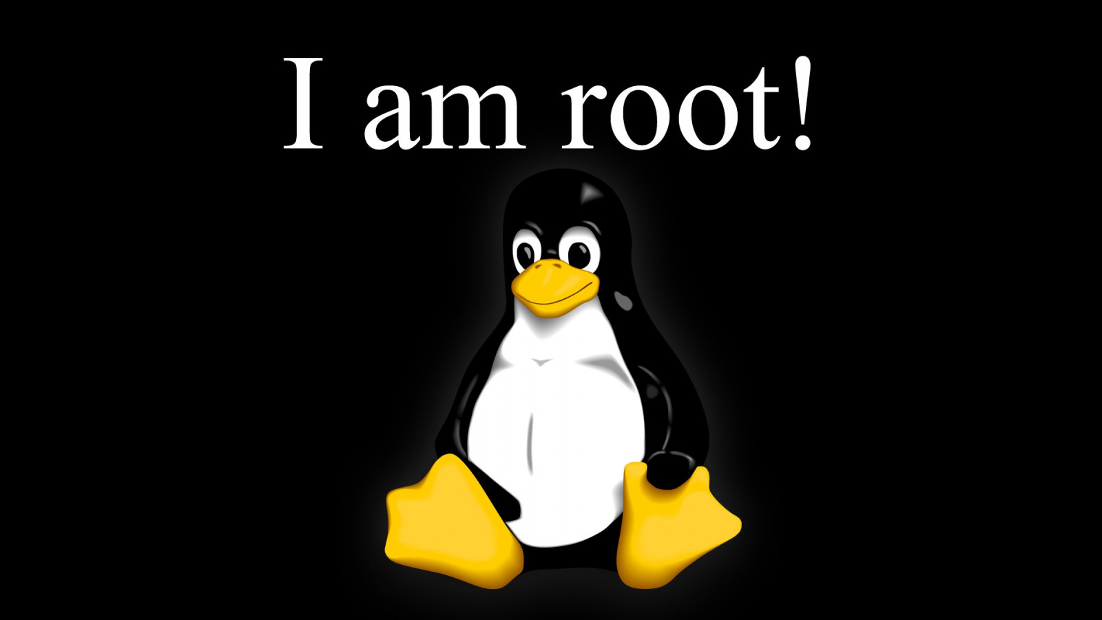 Wallpaper : 1920x1080 px, GNU, Linux, Root character 1920x1080 ...