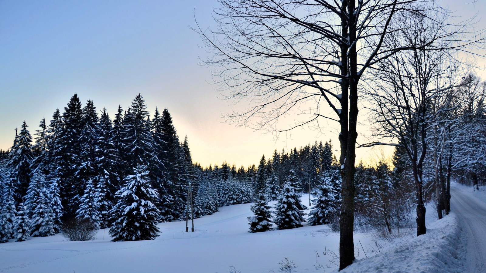 slunečnímu záření, krajina, les, Příroda, nebe, sníh, zima, fotografování, větev, led, večer, ráno, mráz, smrk, Nikon, Vánoce, Dovolená, Alpy, jedle, zmrazení, jehličnatý strom, čeština, CZ, Evergreen, světlo, mrak, strom, flickr, hora, přírodní, fotografie, Vánoce, masiv, dovolená, digitální, dSLR, borovice, zajímavý, nejlepší, foto, nikond3100, krajiny, CentralEurope, zimní říše divů, umava, Česká republika, počítač tapeta, dřevina, Čechy, cechy, Česko, southbohemia, s db hmen, boehmen, Ji n echy, czrepublic, tewhiu, Ji n ch Ech, theczechlands Esko, pohoří, borovice rodina, nejzajímavější, nikond, nikondigital, Jiho esk kraj, nikondigitalslr, Jiho esk, ať sněží, bílé Vánoce, Česká republika, Southbohemiaji n echys db hmen