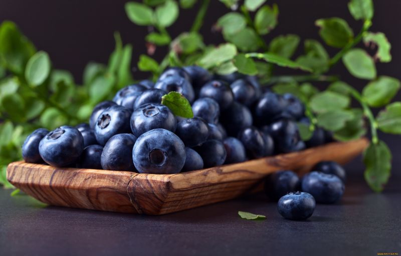 blau, Grün, Beeren, Lebensmittel blau, Grün, Beeren, Lebensmittel