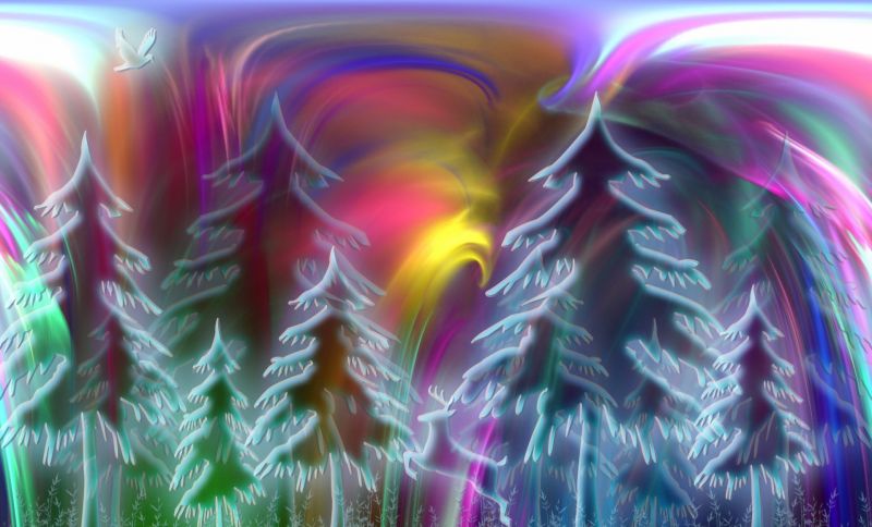 pine,abstraction,pattern,line,multicolored