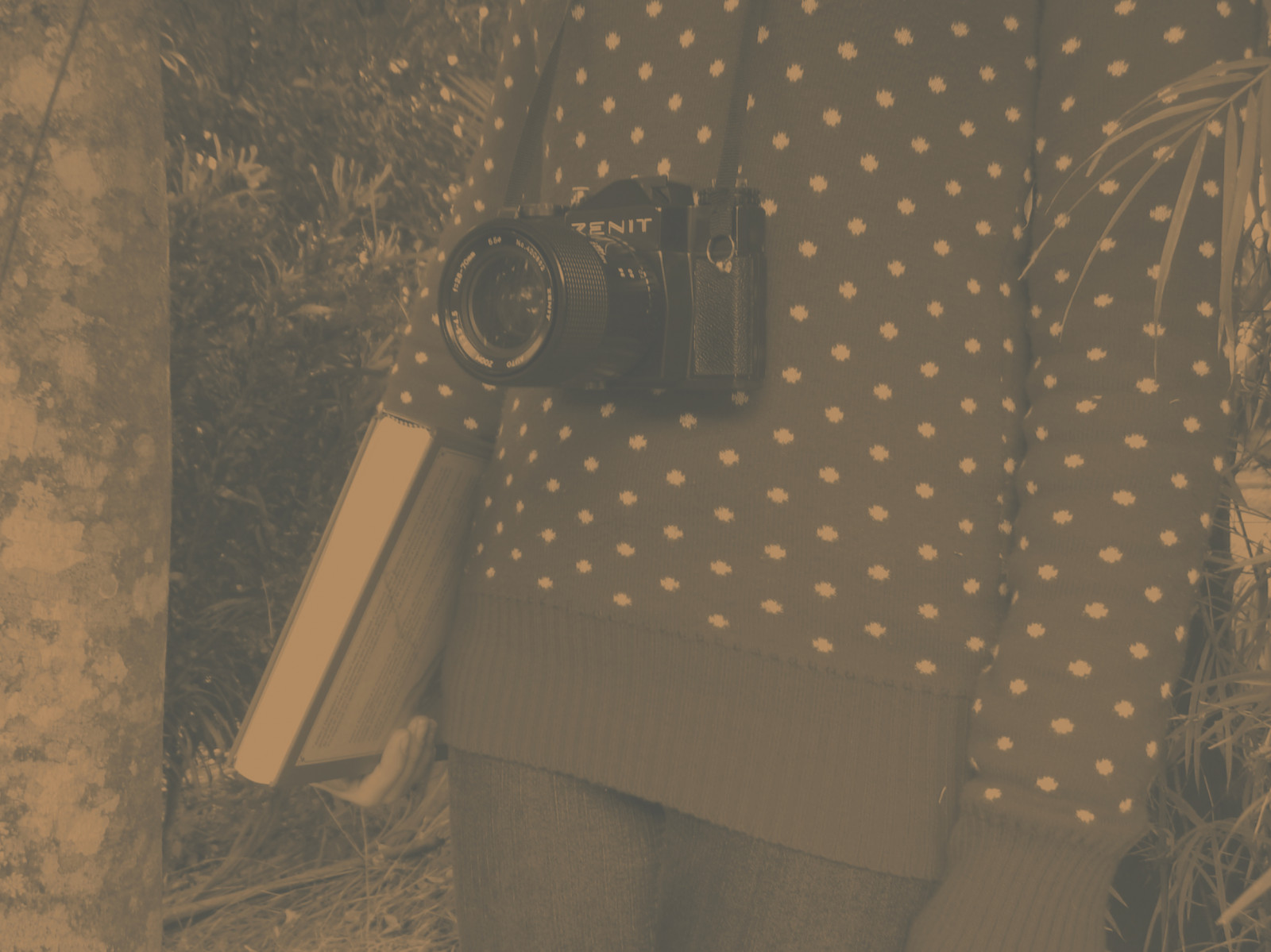 prostor, stěna, dřevo, hnědý, vzor, svetr, textura, světlo, strom, rezervovat, design, patro, podlaha, dno, tečka, tapeta na zeď, textil, béžový, zenit, polka, Livro, bolinhas, bóje, marrom, Bege