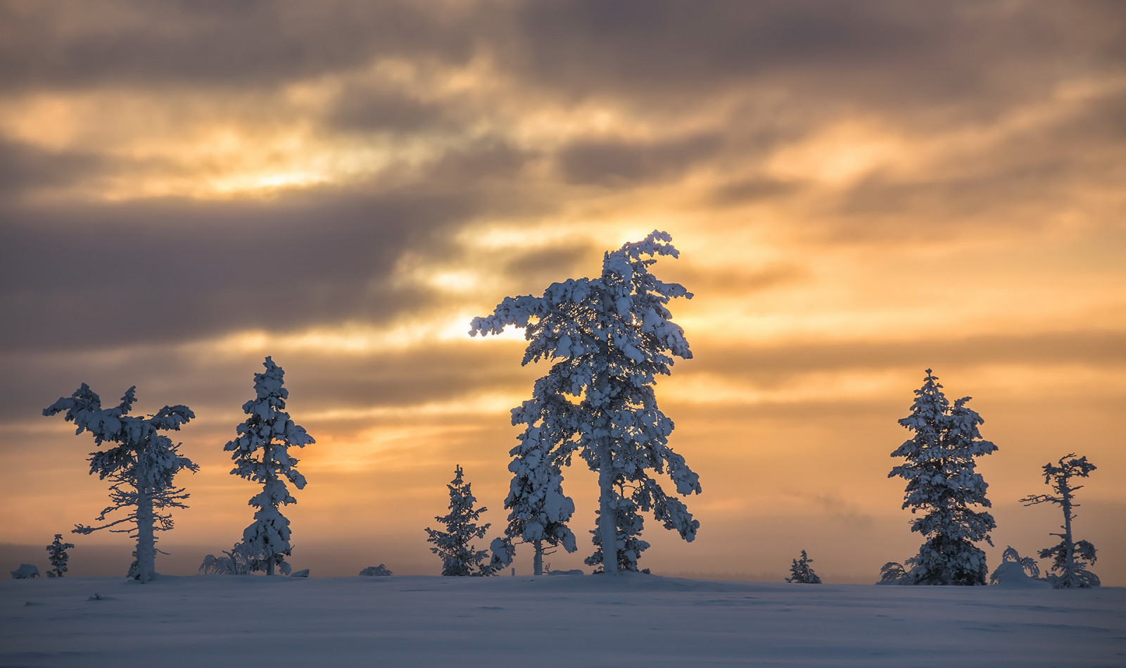1920x1139 px, natur, himmel, træer, vinter