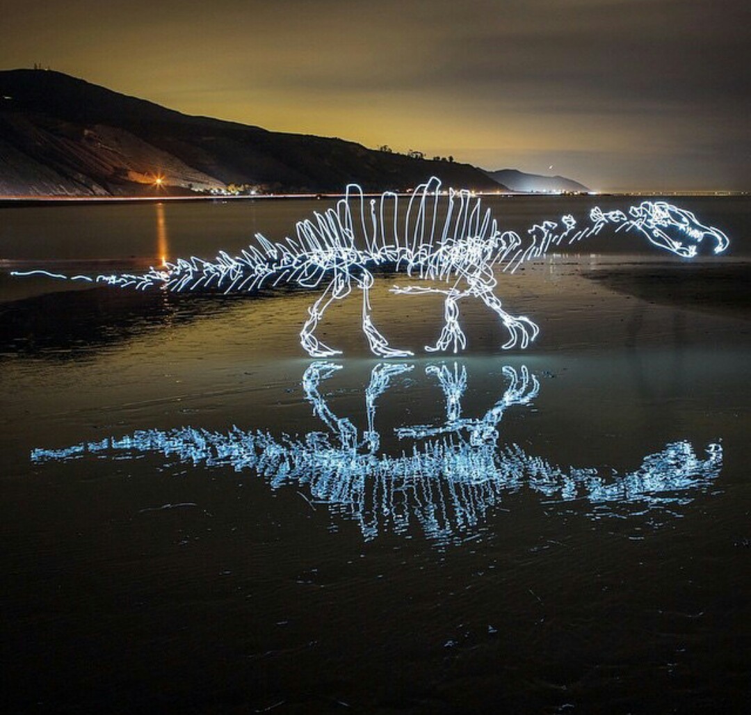 slunečnímu záření, noc, voda, odraz, led, večer, měsíční svit, light painting, soumrak, dinosauři, Stegosaurus, světlo, vlna, tma
