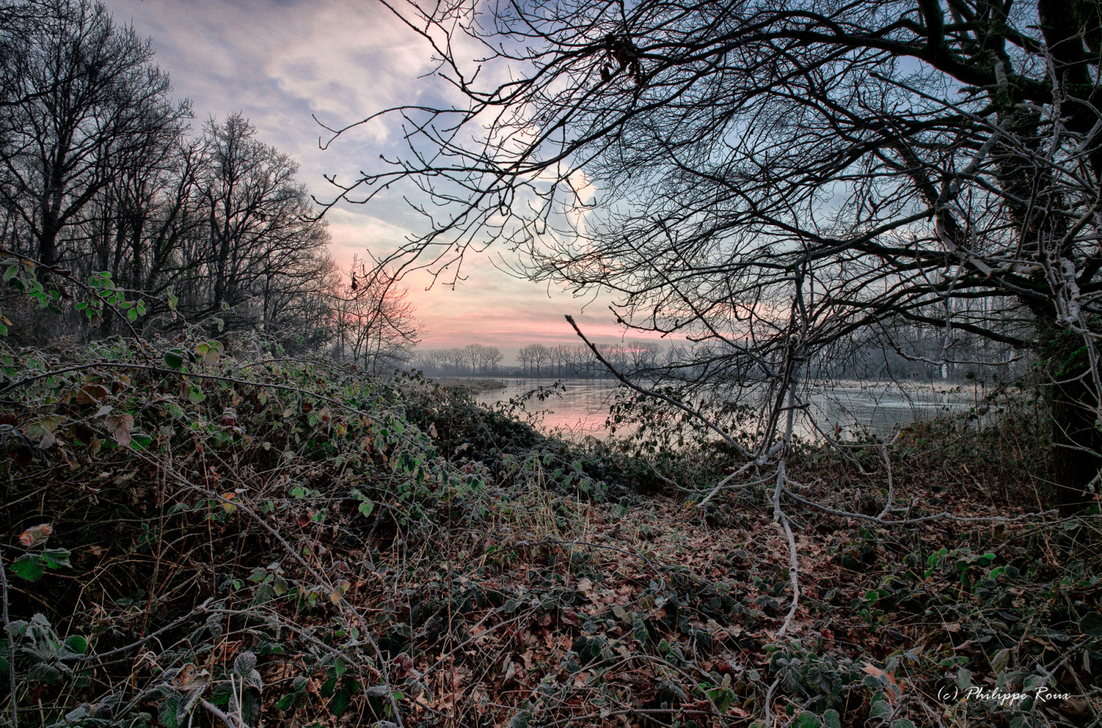 slunečnímu záření, krajina, les, voda, Příroda, tráva, nebe, zima, větev, svítání, večer, ráno, atmosféra, jaro, mrak, strom, podzim, list, rostlina, waterscape, vegetace, fuji, leverdesoleil, ciel, mraky, etang, eau, arbres, mlha, zálesí, větvička, 1024mm, dřevina, meteorologický jev, křoviny, XM1, Dombes