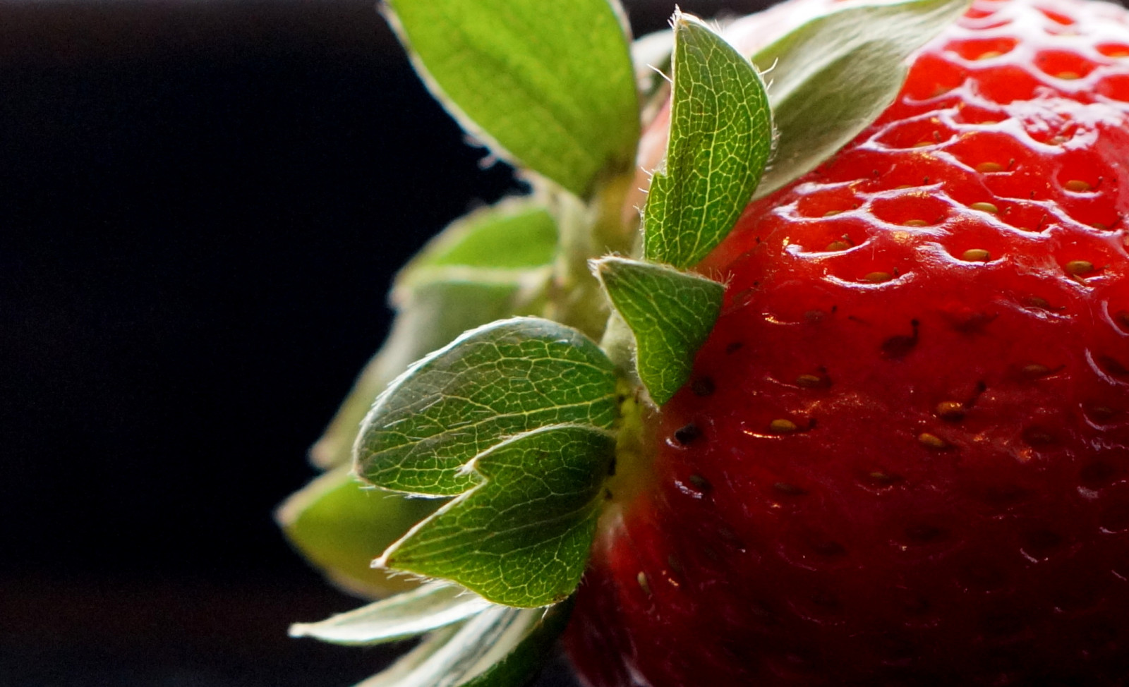 อาหาร, สีแดง, แมโคร, ผลไม้, สีเขียว, สตรอเบอร์รี่, bokeh, บราซิล, สตรอเบอร์รี่, เวิร์ด, ผลิต, ใกล้ชิด, การถ่ายภาพมาโคร, ถ่ายภาพนิ่ง, portoalegre, riograndedosul, Frutti di Boso, Vermelho, อาหารพื้นเมือง, Morango, natural foods, superfood