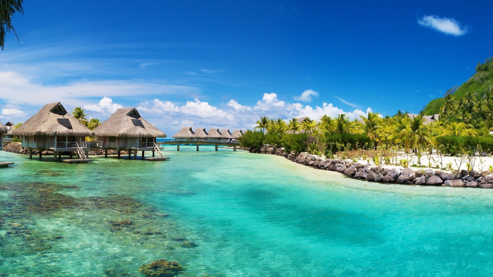 moře, záliv, pláž, pobřeží, palmy, plavecký bazén, letovisko, ostrov, laguna, pelerína, karibský, dovolená, souostroví, zátoka, ostrůvek, 2560x1440 px, landform, geografický rys, letovisko