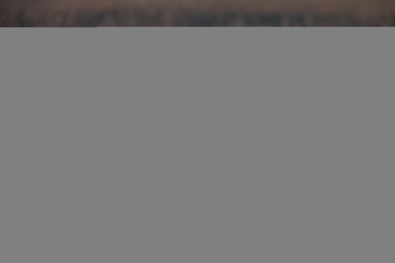 krajina, západ slunce, text, značka, solnedg ng, venkov krajina, západ slunce, text, značka, solnedg ng, venkov