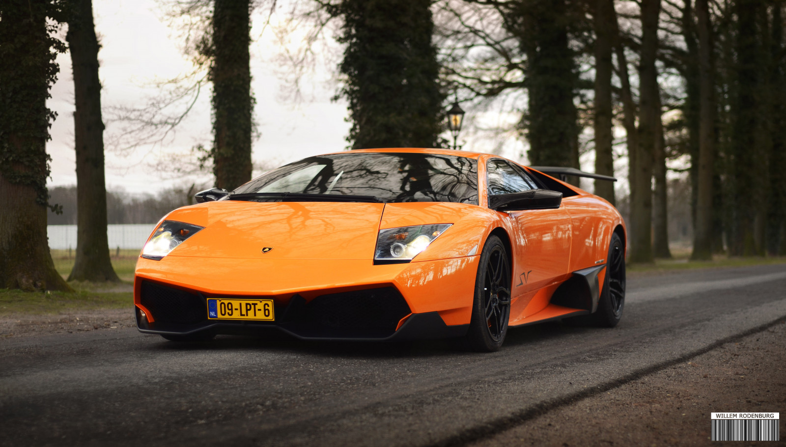 auto, vozidlo, dřevo, Supercars, Lamborghini, oranžový, Nizozemí, Nikon, Lamborghini Gallardo, sportovní auto, Lamborghini Murcielago, holandský, výkon auta, Hypercar, Holandsko, Krásná, 50mm, 18, , D7000, kolo, lp, les, super, superauto, rychle, skvělý, půvabný, nemocný, CS6, Veloce, sv, Murcielago, v12, Hyperauta, pozemní vozidla, automobilového designu, automobilový exteriér, závodní auto, luxusní vůz, motorové vozidlo, lp6704, willem, Rodenburg, lp670, 670