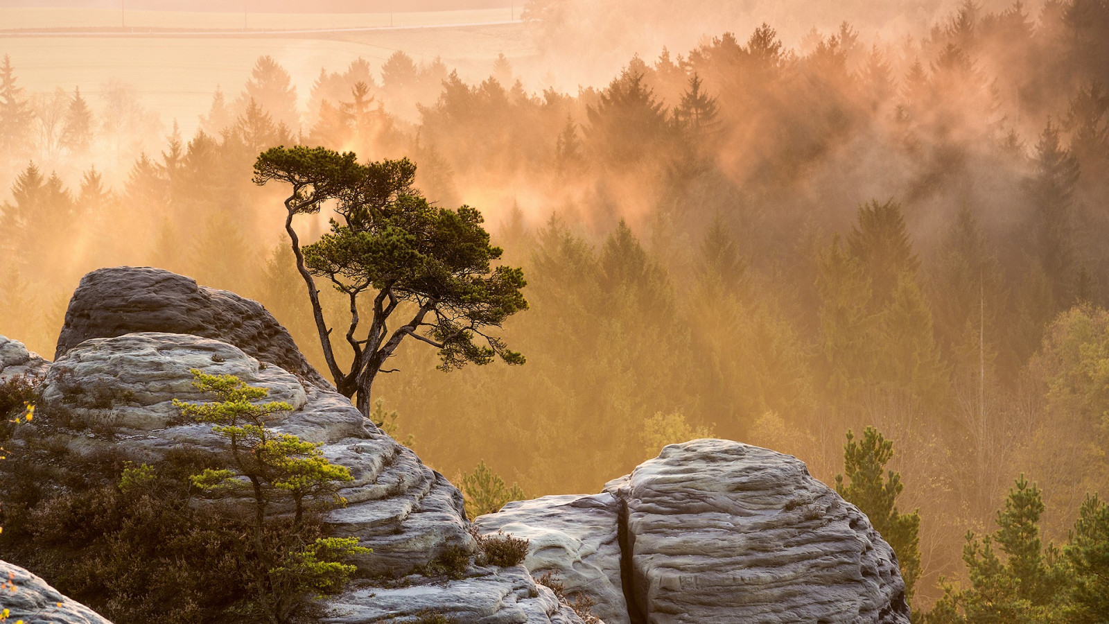 Sonnenlicht, Bäume, Landschaft, Wald, Berge, Sonnenuntergang, Rock, Natur, Morgen, Nebel, Sonnenstrahlen, Wildnis, Terrain, Wolke, Baum, Herbst, Berg, Bildschirmfoto, Atmosphärisches Phänomen, Computer-Tapete, Holzige Pflanze