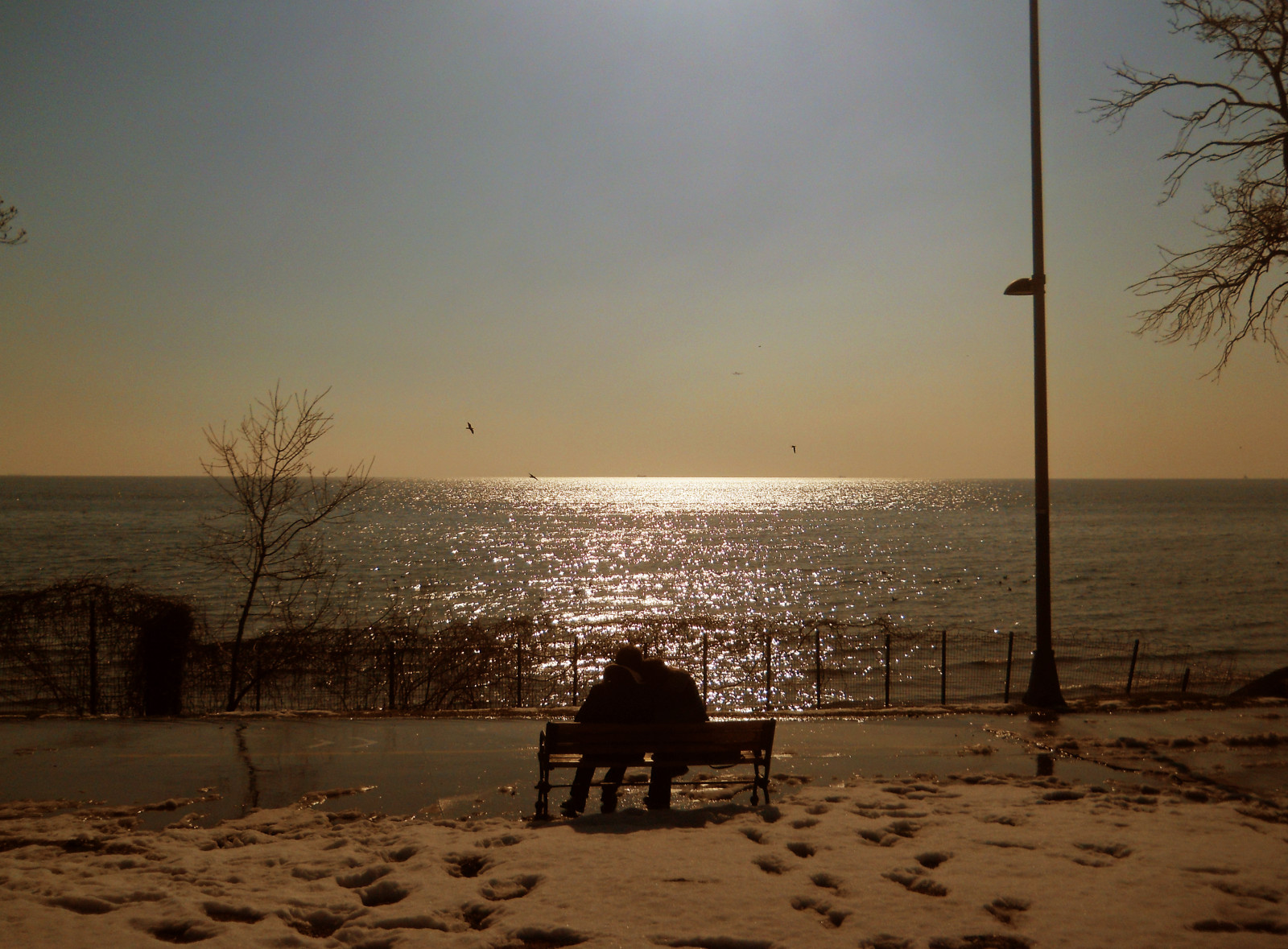 lidé, západ slunce, moře, voda, pobřeží, písek, milovat, nebe, stín, sníh, zima, pláž, svítání, uklidnit, večer, ráno, pobřeží, slunce, horizont, soumrak, denní světlo, dovolená, světlo, strom, oceán, člověk, tělo z vody