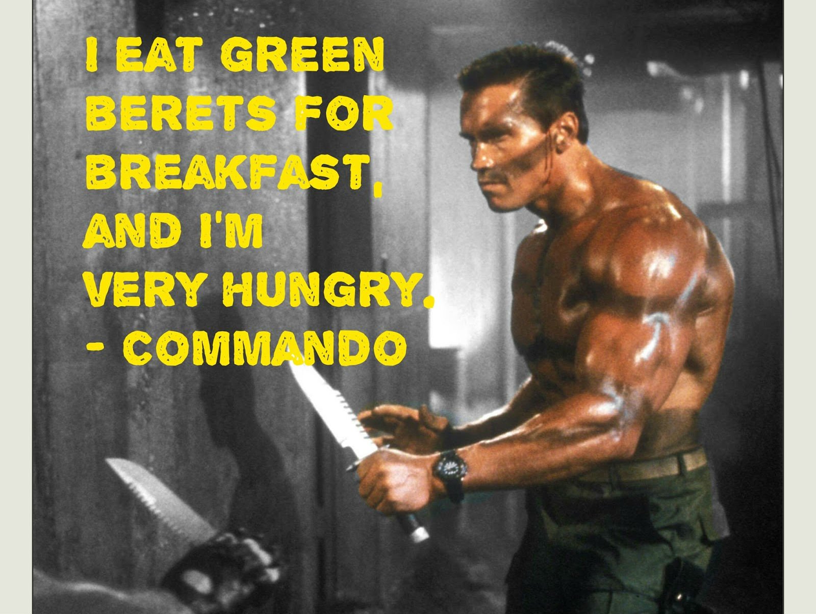 1600x1205 px, akce, dobrodružství, Arnold, komando, fantazie, fi, beletrie, bojování, film, síly, futuristický, válečný, film, Schwarzenegger, sci, Věda, voják, speciální, detektivka, bojovník