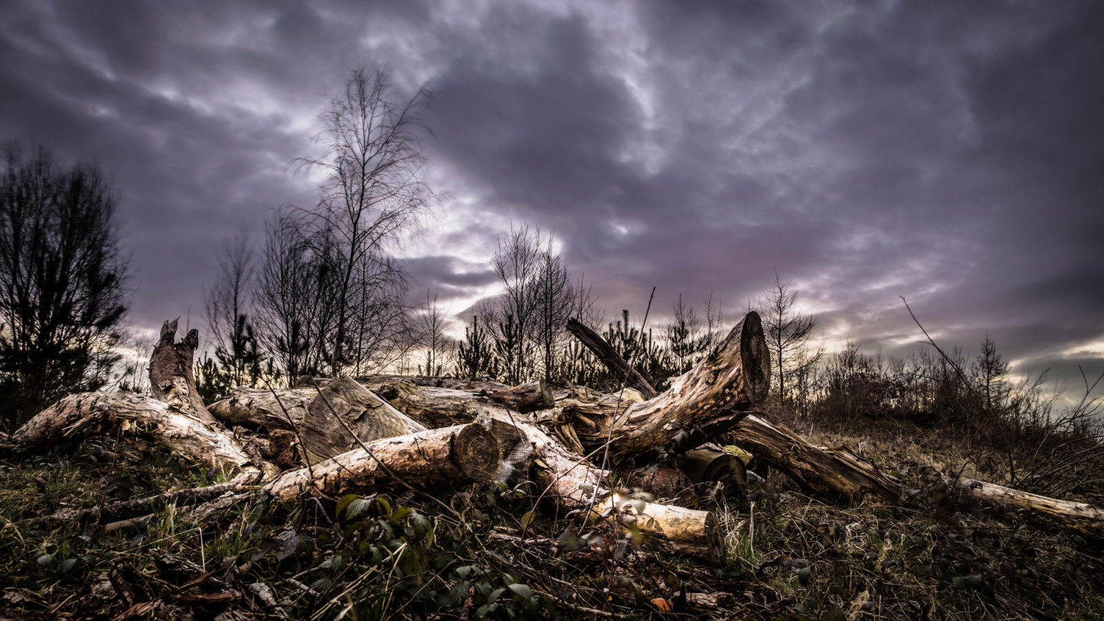 slunečnímu záření, krajina, les, západ slunce, Příroda, tráva, sníh, zima, mraky, větev, Anglie, ráno, mráz, Kánon, HDR, divočina, 2015, Spojené království, mrak, strom, podzim, hora, počasí, rostlina, sezóna, les, tma, 6d, project365, britian, místo výskytu, přírodní prostředí, atmosférický jev, dřevina, Stoke-on-Trent, stafordšírský, eos6d, hanchurch