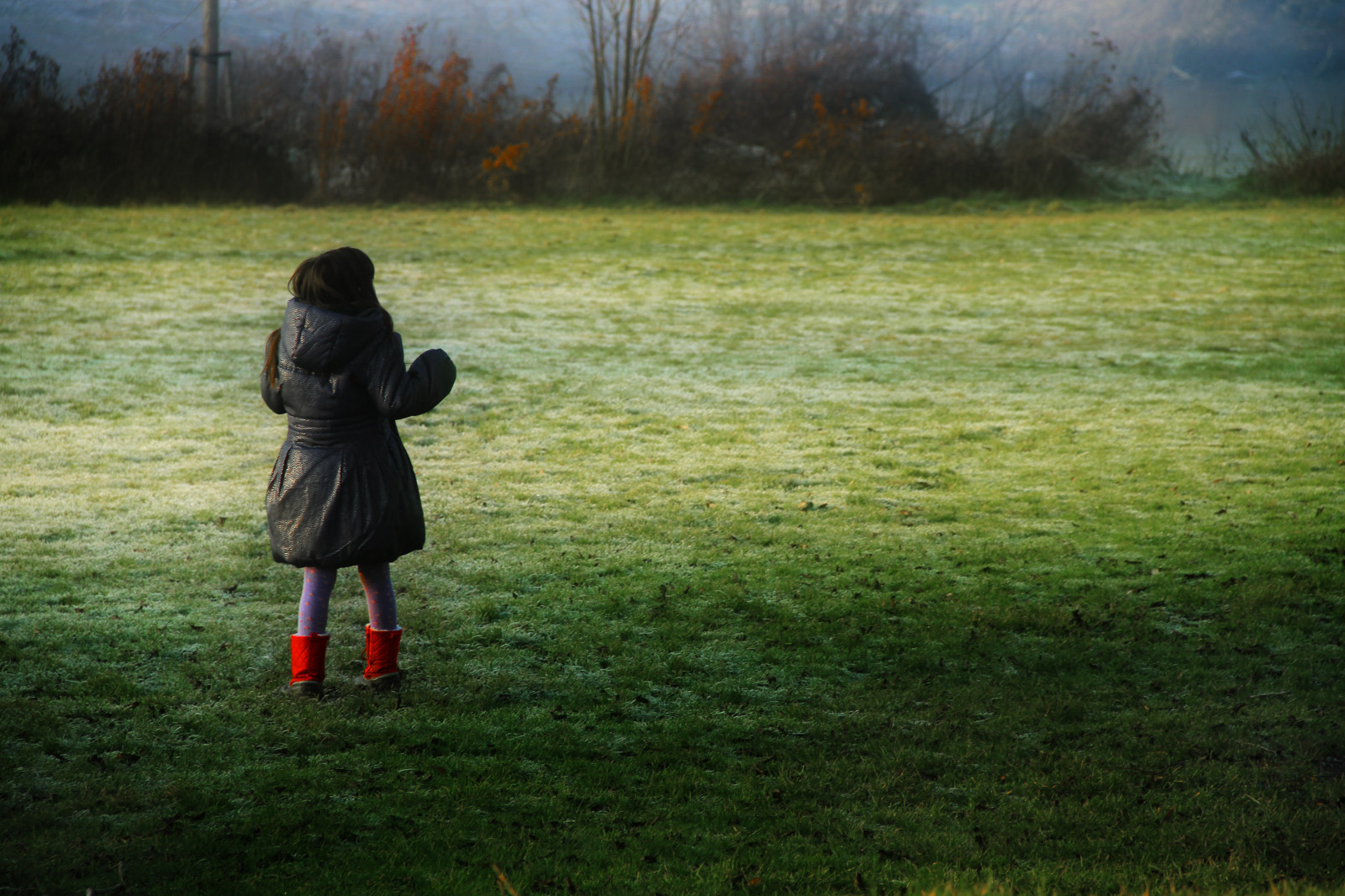 slunečnímu záření, krajina, Příroda, Červené, tráva, nebe, zima, pole, zelená, večer, ráno, mráz, atmosféra, boty, jaro, Dánsko, mrak, strom, dítě, Nový, lučina, rostlina, dívka, zábava, pastvina, pravidlo, louka, rok, rekreace, colorphotoaward, trávník, bažina, dřevina, tráva rodina, třetiny, Mose, jev, gamewinner, storybookwinner, storybookttwwinner, favescontestwinner, favescontestfavored, yourockwinner, yourockunanimous, rockon, duetos, prostředí, pregamesweepwinner, pregameduelwinner, Utterslev, diamondsawards, Nyt r, Solitarita