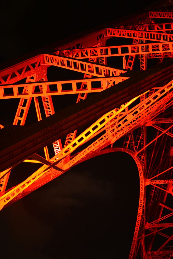 Japan,night,architecture,red,illustration,neon