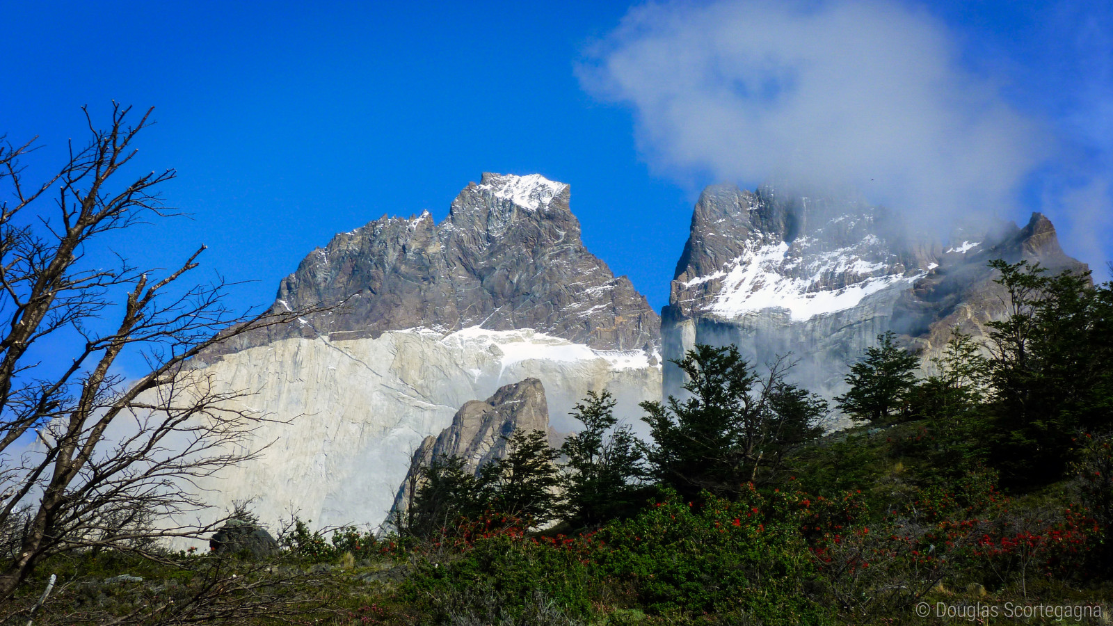 trees, landscape, mountains, rock, nature, grass, sky, park, snow, winter, green, blue, ice, cold, wind, national park, valley, windy, mountain pass, wilderness, Chile, Alps, hiking, peak, Argentina, Patagonia, peace, mount scenery, summit, Andes, Trek, trekking, Doug, ridge, tranquility, Terrain, cloud, tree, national, fog, mountain, altitude, america, Massif, torres, trail, south, los, del, chilean, w, elcalafate, highland, backpacking, torresdelpaine, puertonatales, puntaarenas, mountainous landforms, mountain range, hill station, glacial landform, meteorological phenomenon, fell, cirque, paine, elevation, escarpment, cuernos, andean, patagonian, southchile, scortegagna, batholith
