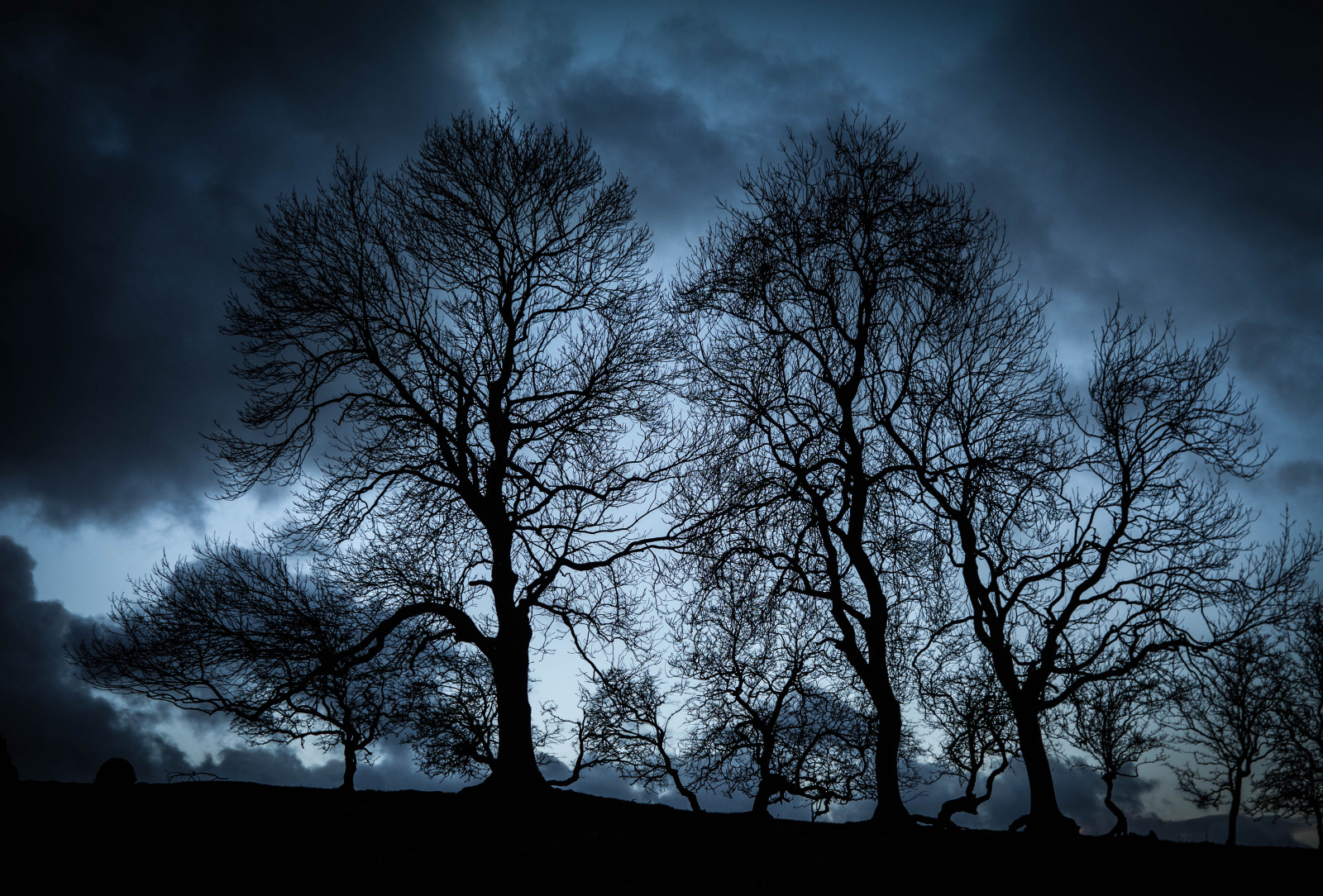 modrý, stromy, zima, nebe, silueta, mraky, krajina, Mono, večer, soumrak, Yorkshire, scénický, Dales, Malham, Airton