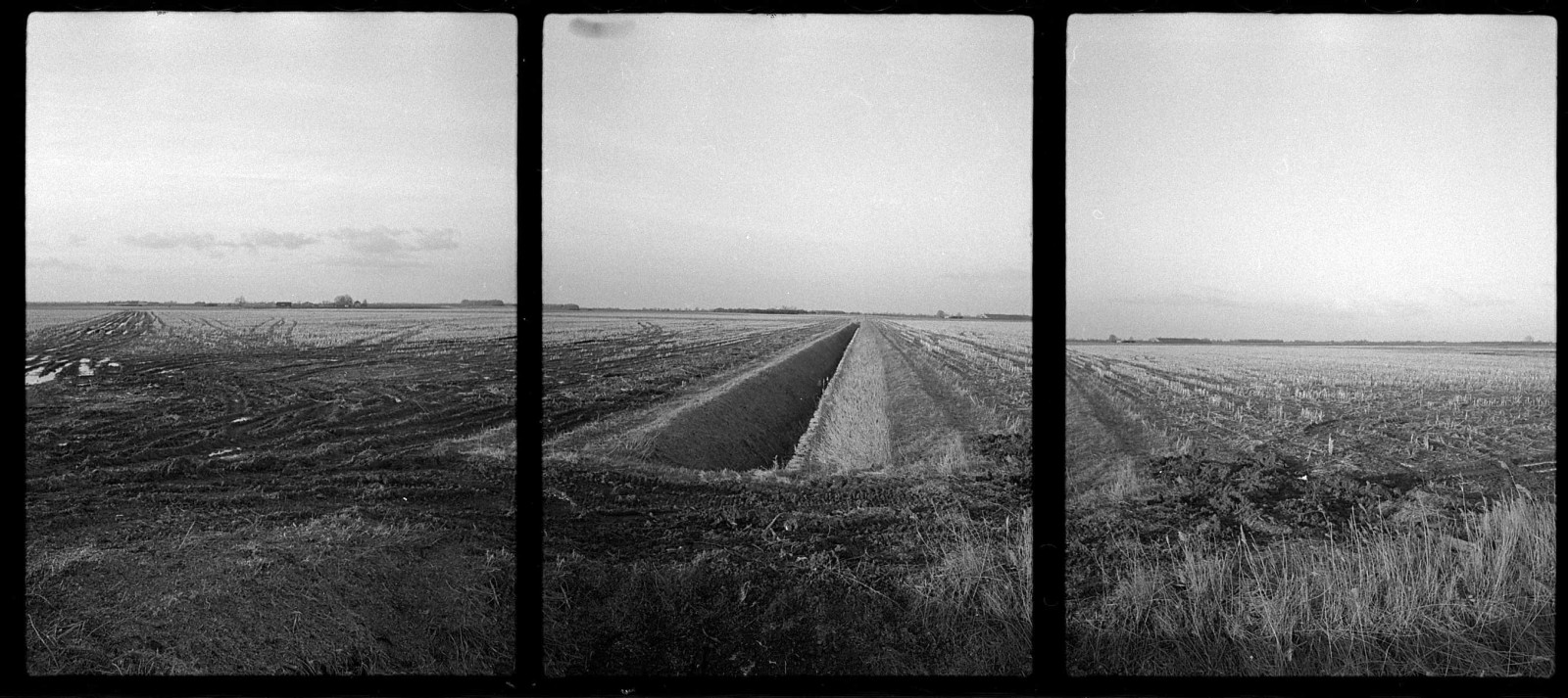 paesaggio, monocromo, cielo, fotografia, mattina, orizzonte, atmosfera, trittico, Olimpo, canali di scolo, angolo, nube, albero, film, Ilford, believeinfilm, bianco e nero, fotografia in bianco e nero, still life, penee, Cambridgeshire, warboyssnapper, fens, torba, Fenlandia, Andrewbartram, Id1111, stock photography